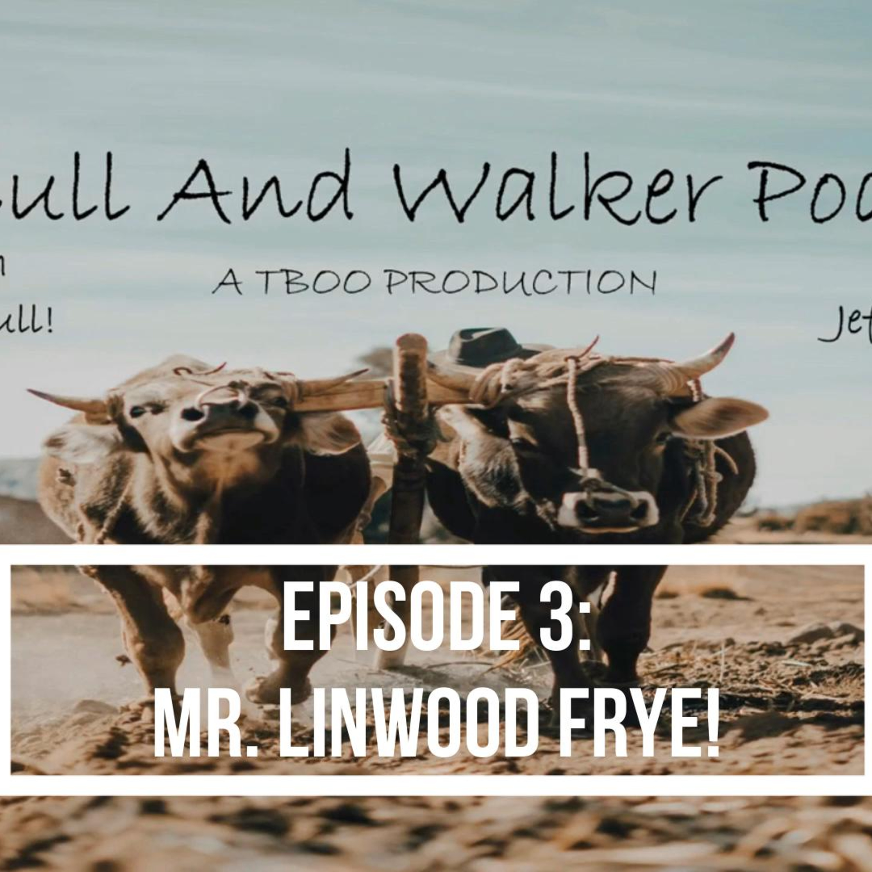 Episode 3: Mr. Linwood Frye! episode artwork