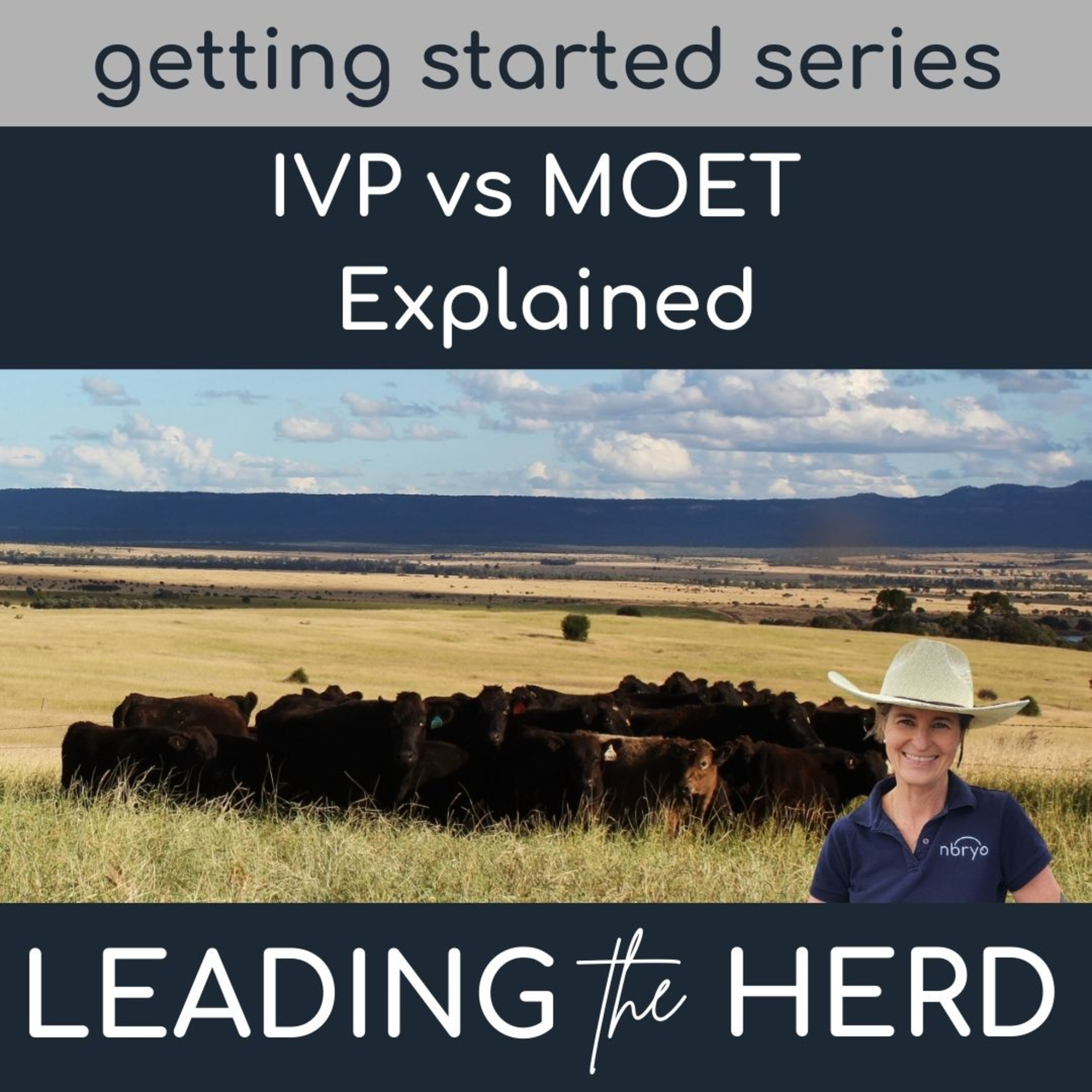 Leading the Herd - Innovations in Bovine Breeding