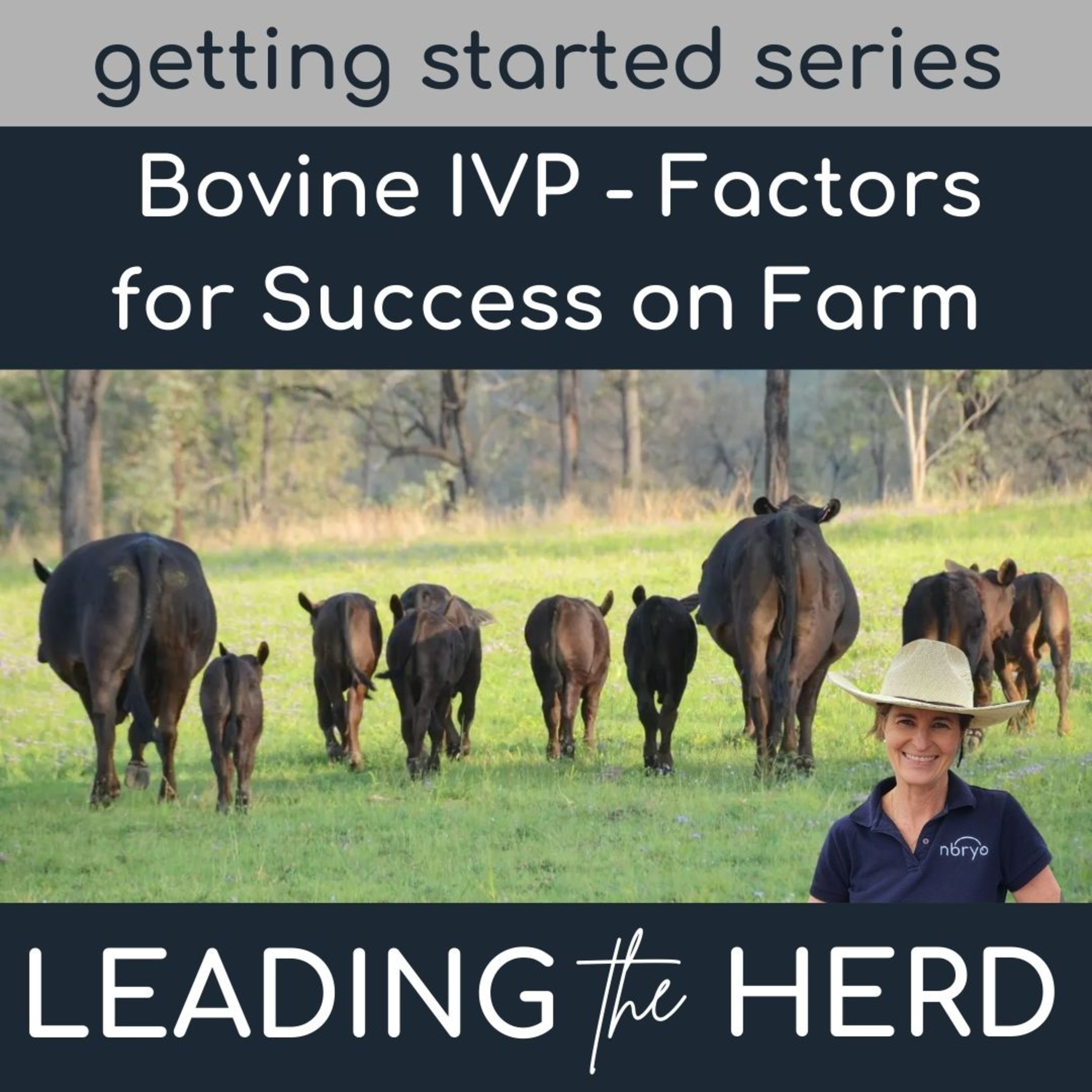 Leading the Herd - Innovations in Bovine Breeding