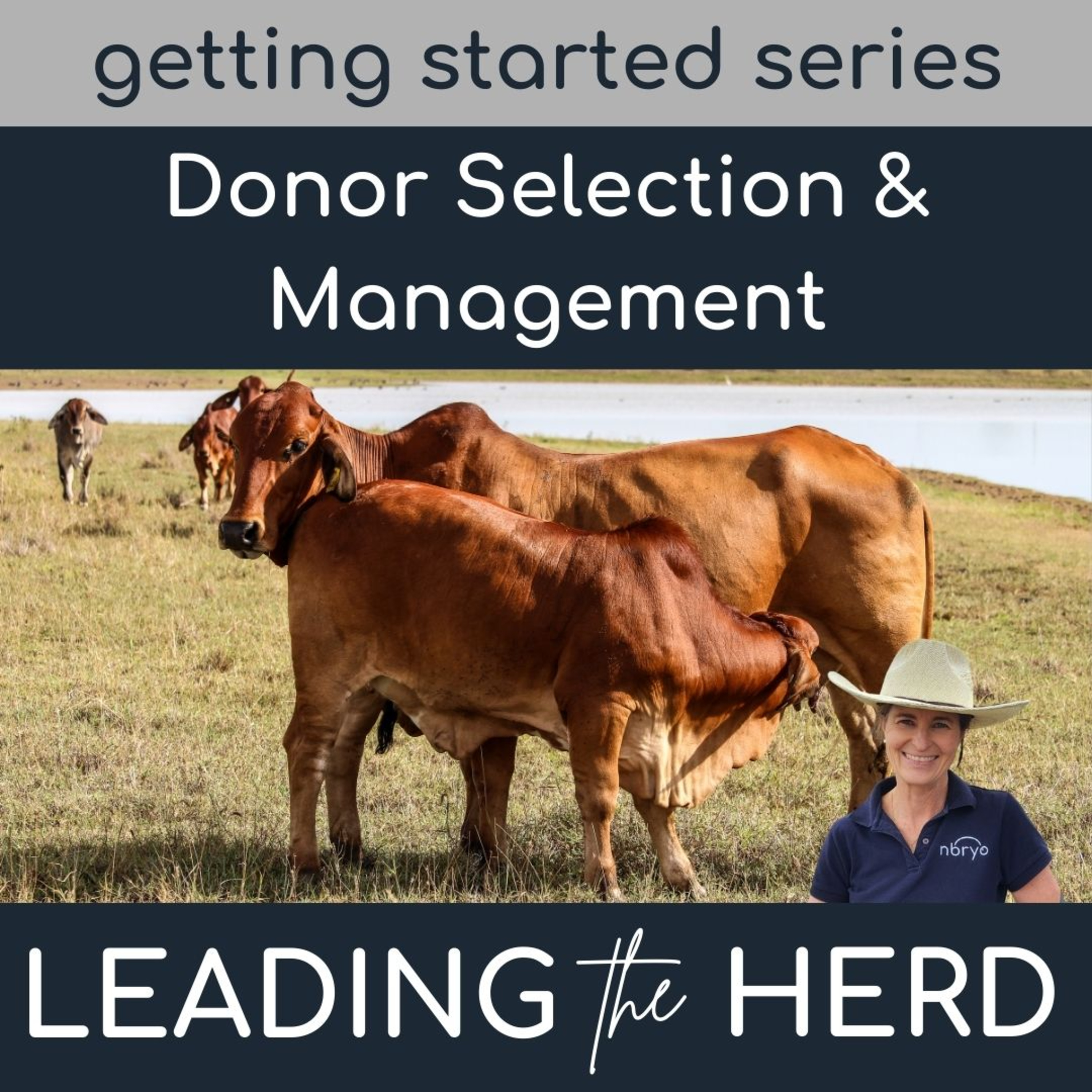 Leading the Herd - Innovations in Bovine Breeding