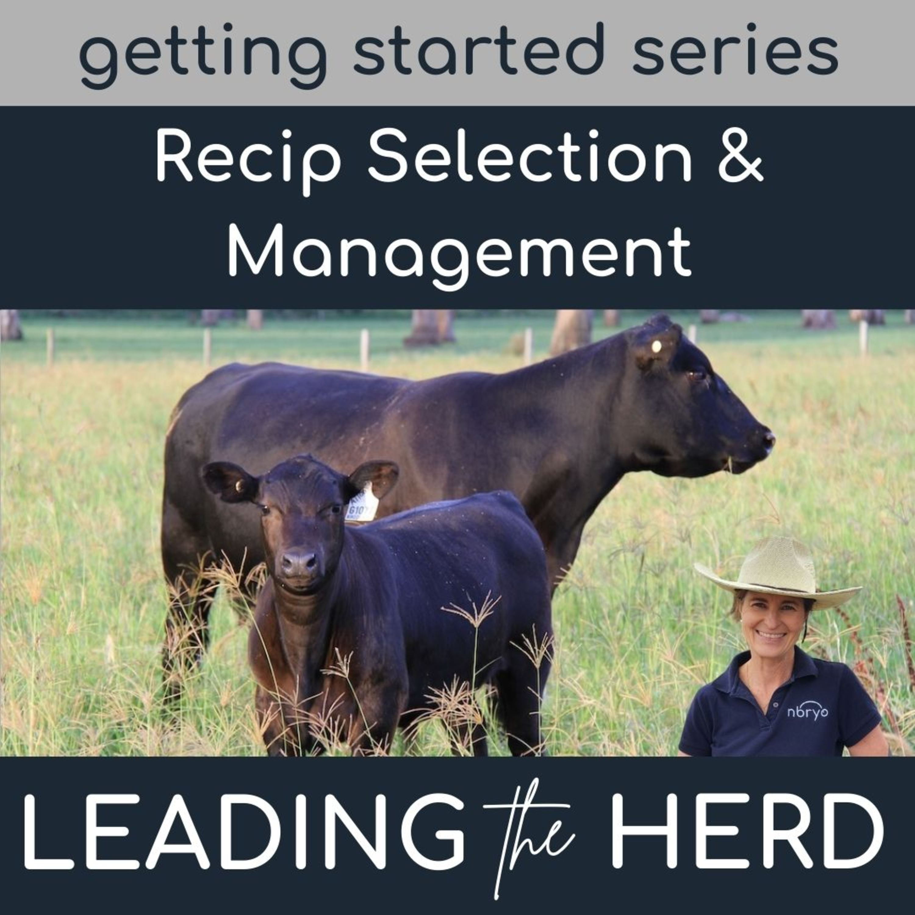 Leading the Herd - Innovations in Bovine Breeding