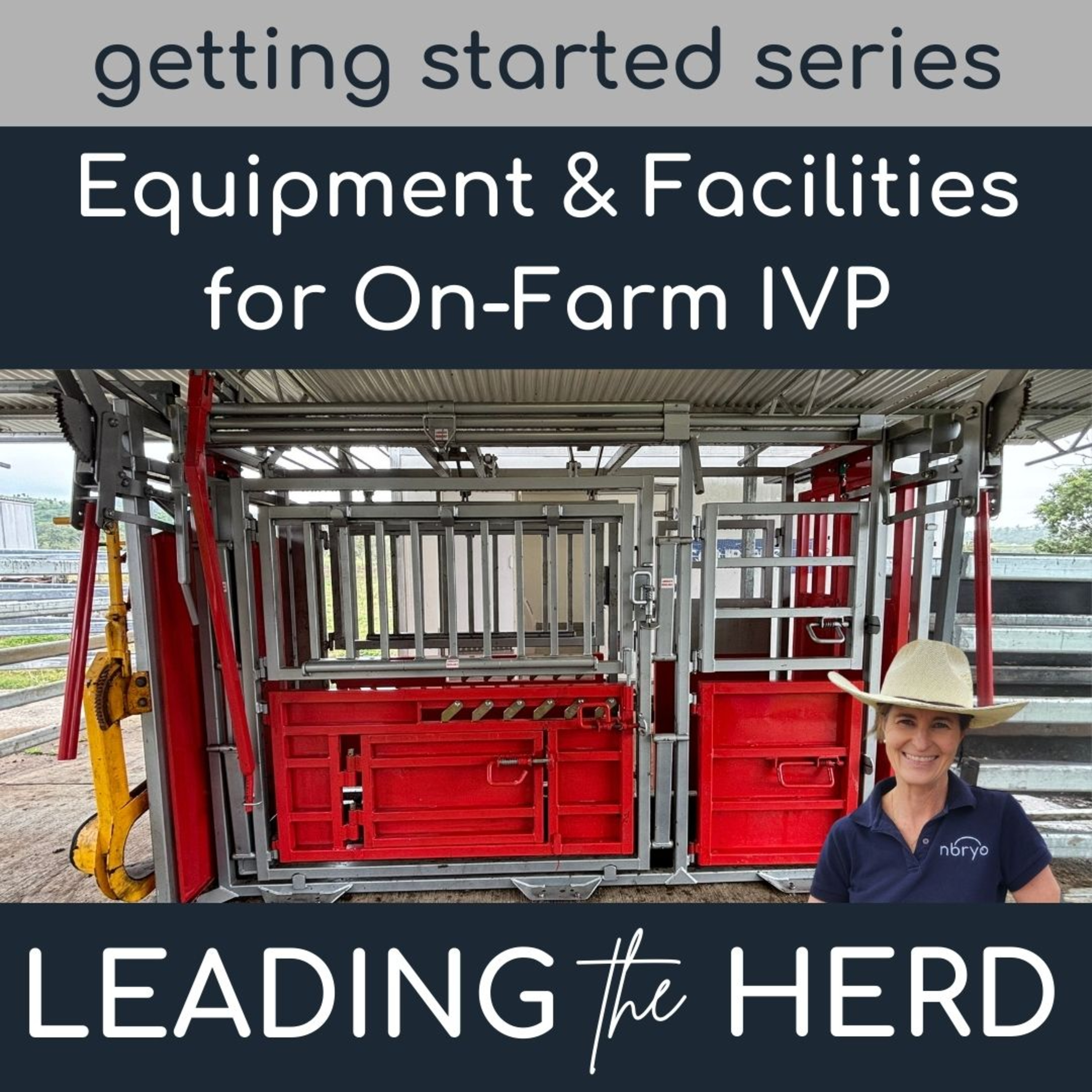 Leading the Herd - Innovations in Bovine Breeding