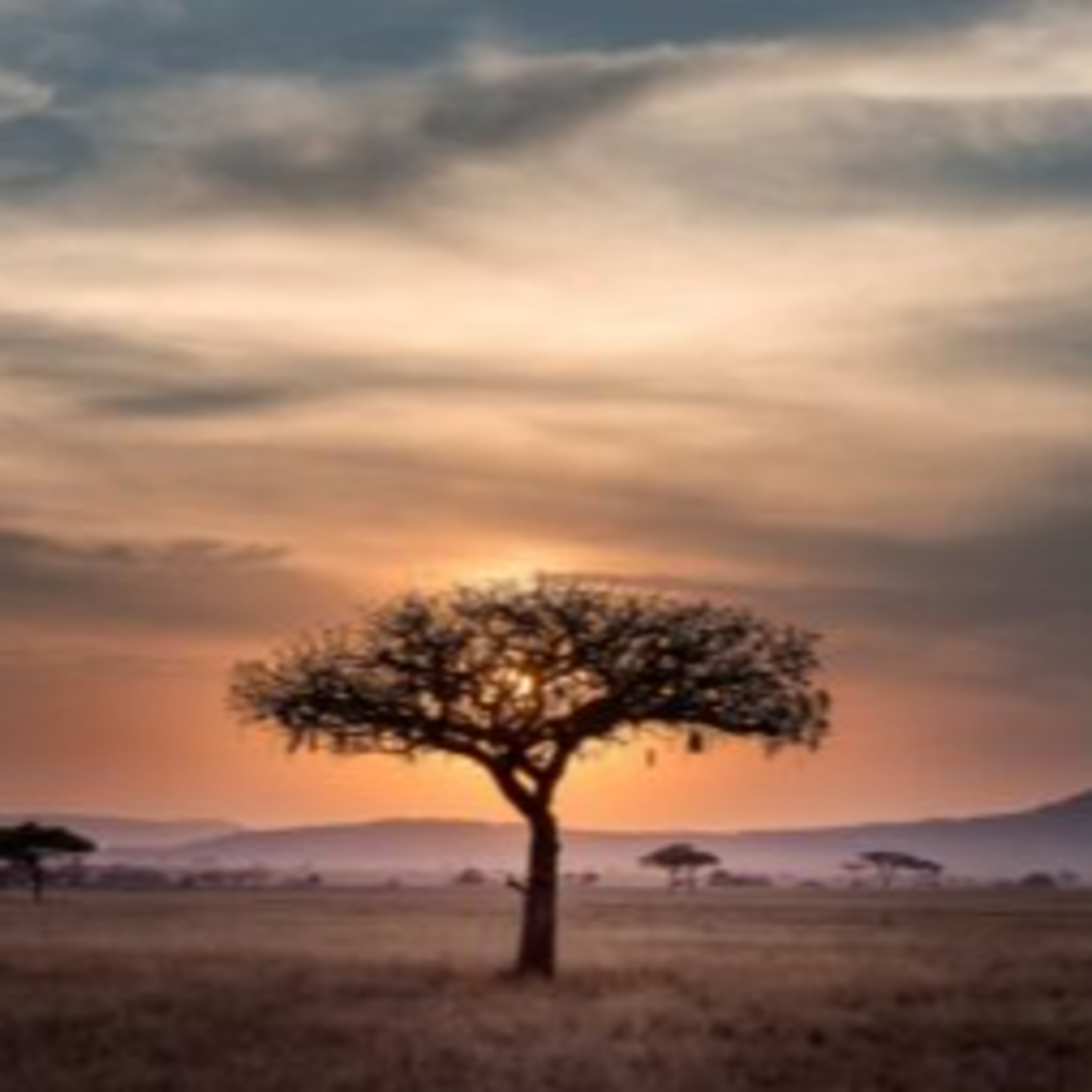 Why 2025 Is Africa’s Year for Travellers episode artwork