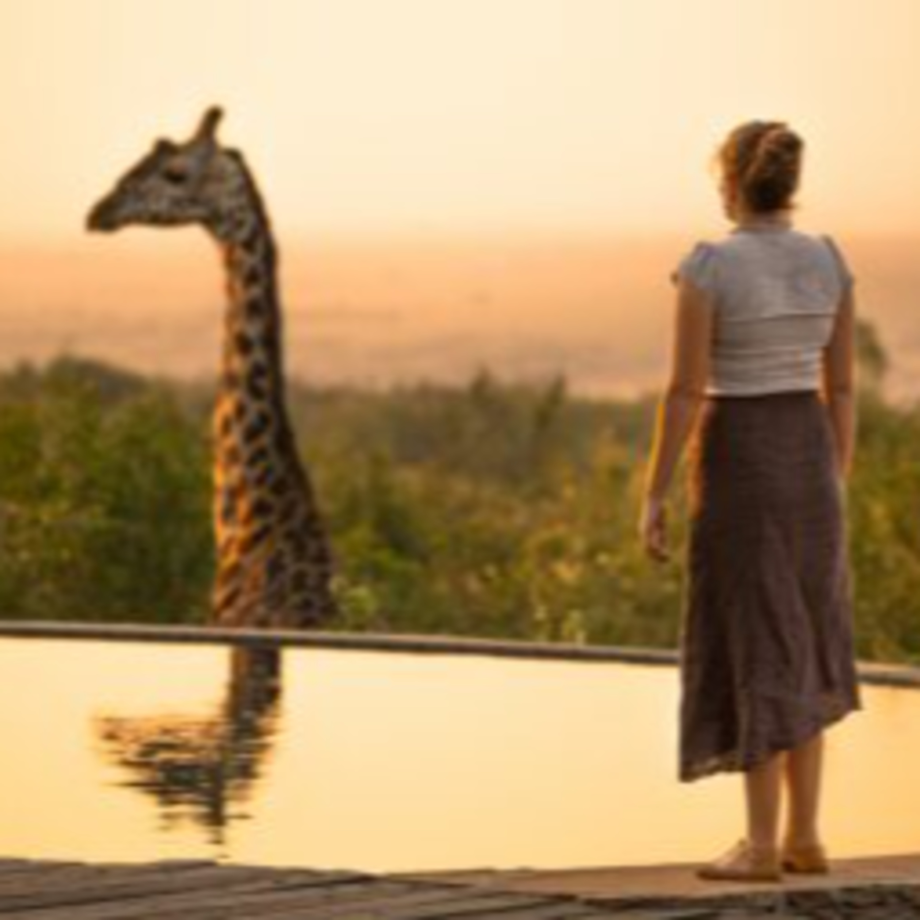 The Rise of Luxury African Safaris: How High-End Tourism is Evolving episode artwork