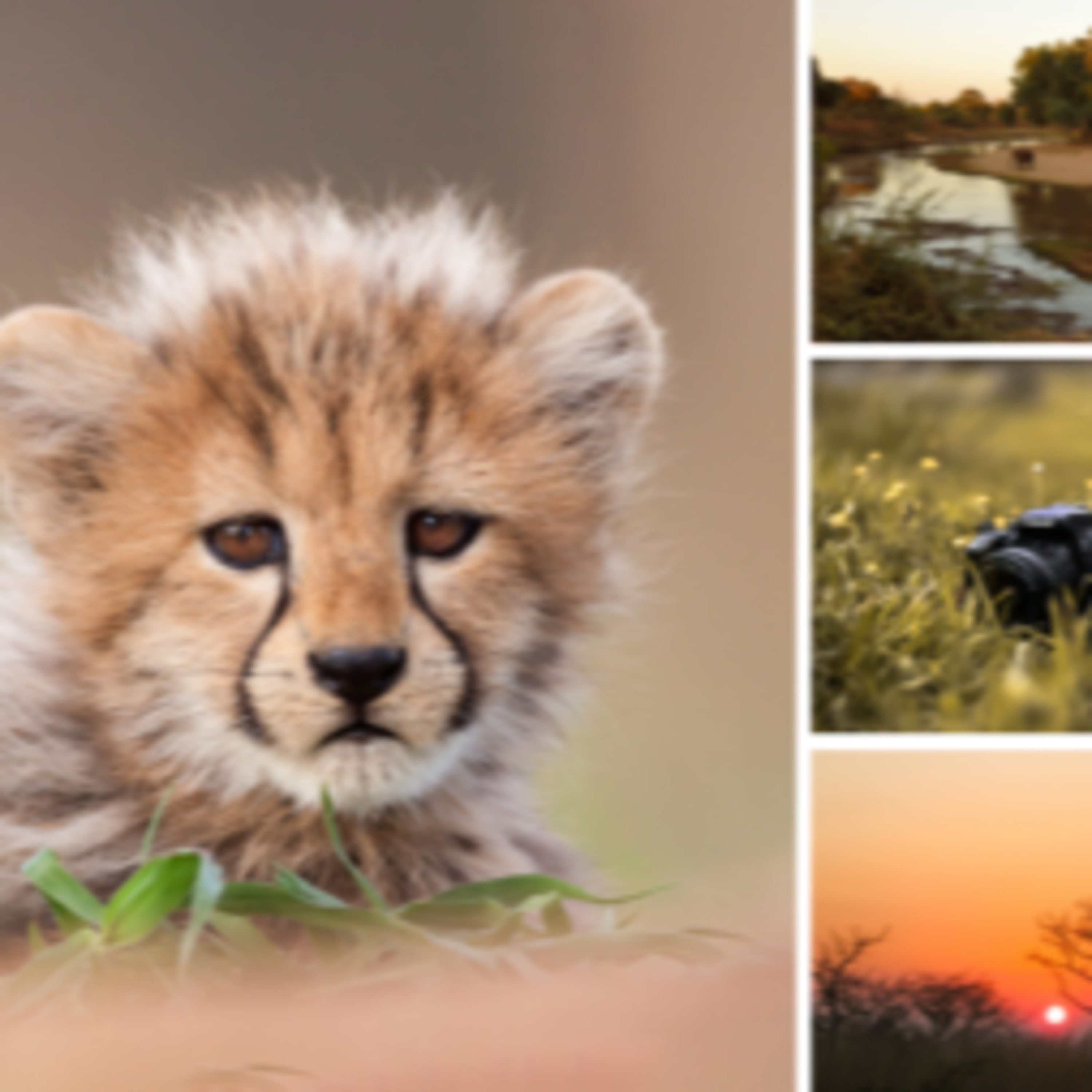 Kruger Photography: The Only Tips You’ll Ever Need episode artwork