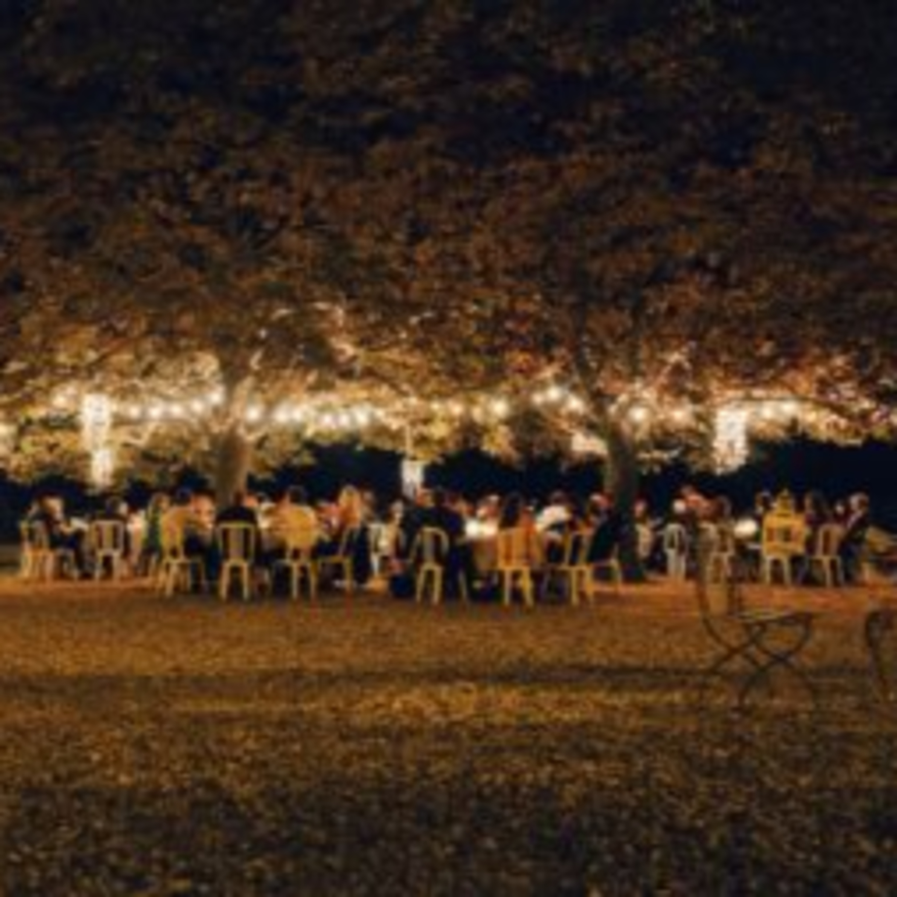 Safari Weddings: All You Need to Know episode artwork