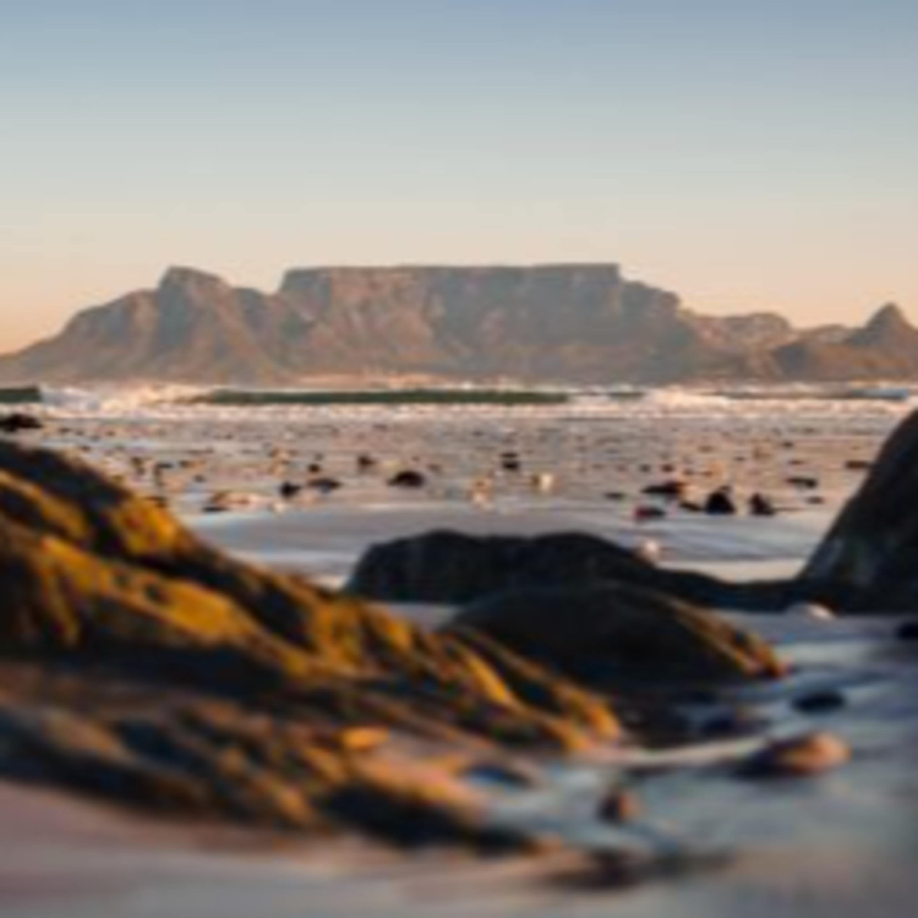 Cape Town Attractions in Focus episode artwork