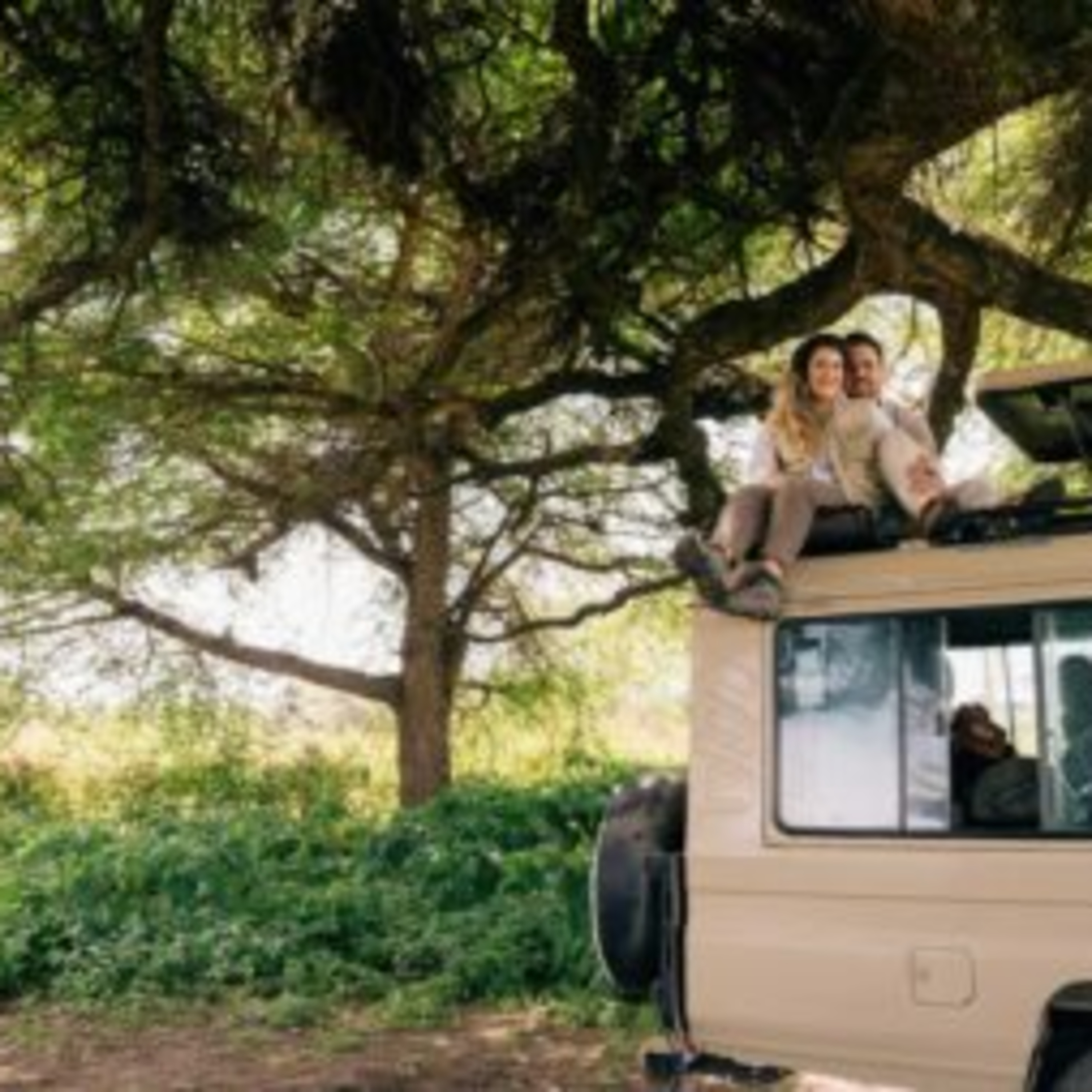 What to Wear on a Safari episode artwork