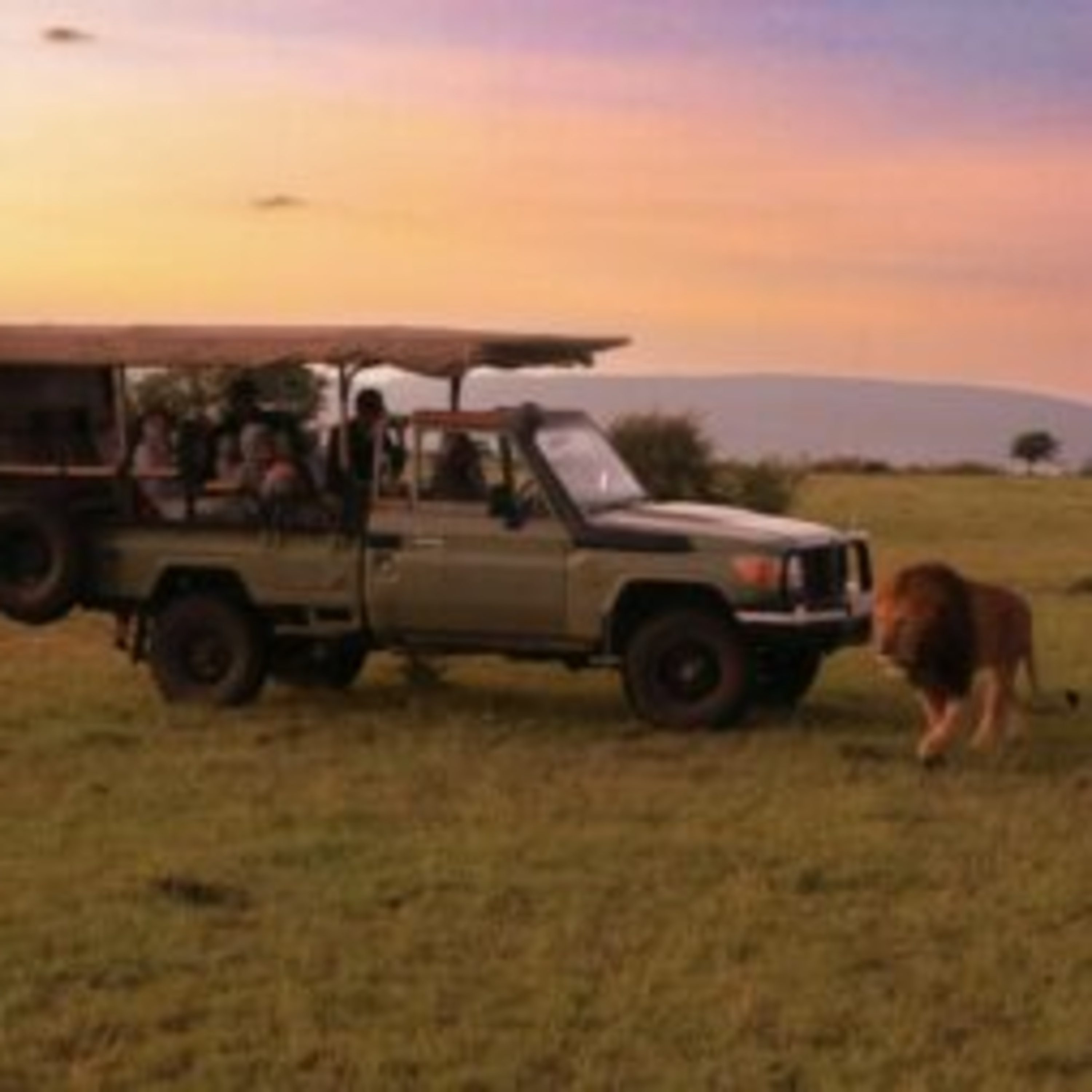 Why Your Second Safari in Africa Should Be a Luxury One episode artwork