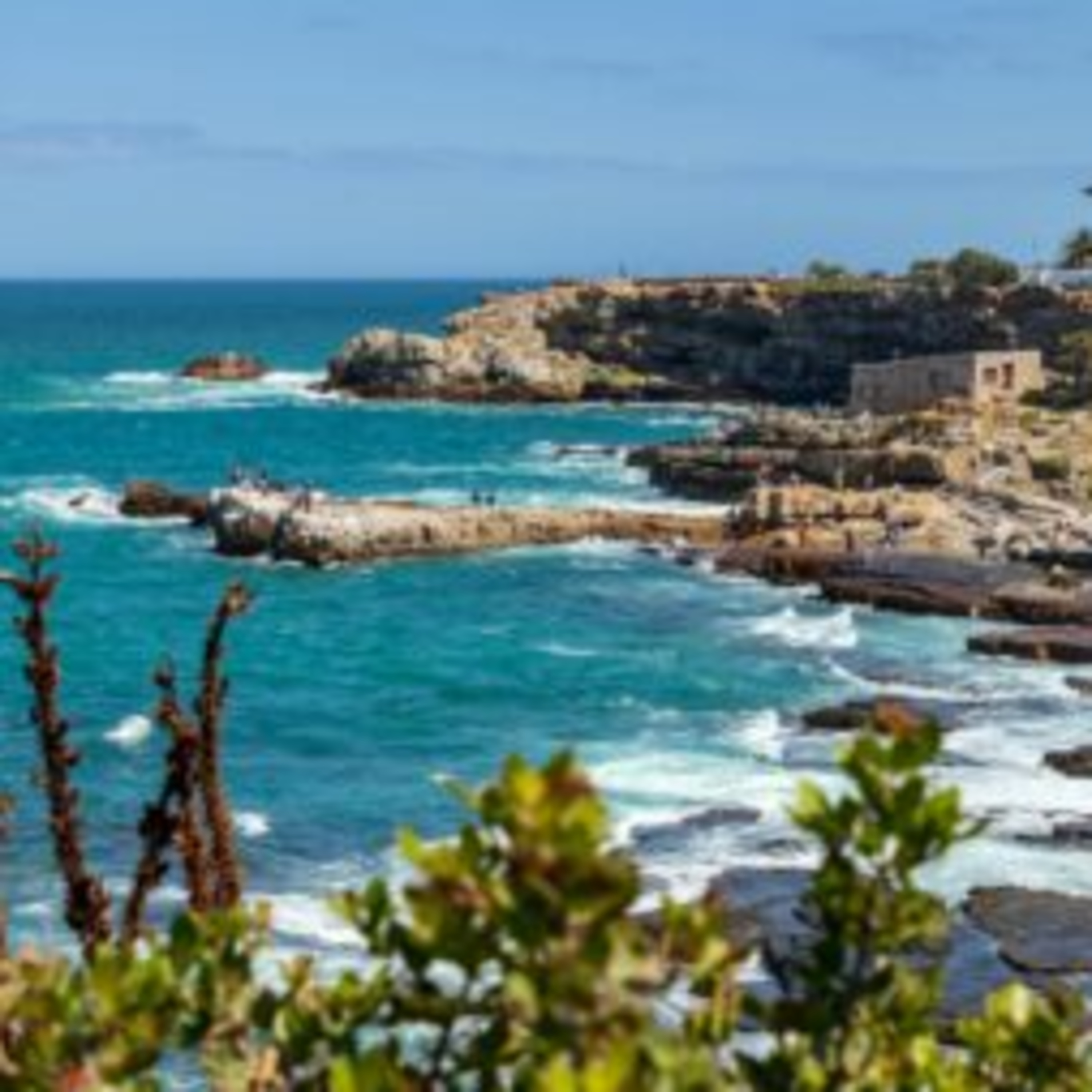 Explore Hermanus – Tides, Trails & Tastes episode artwork