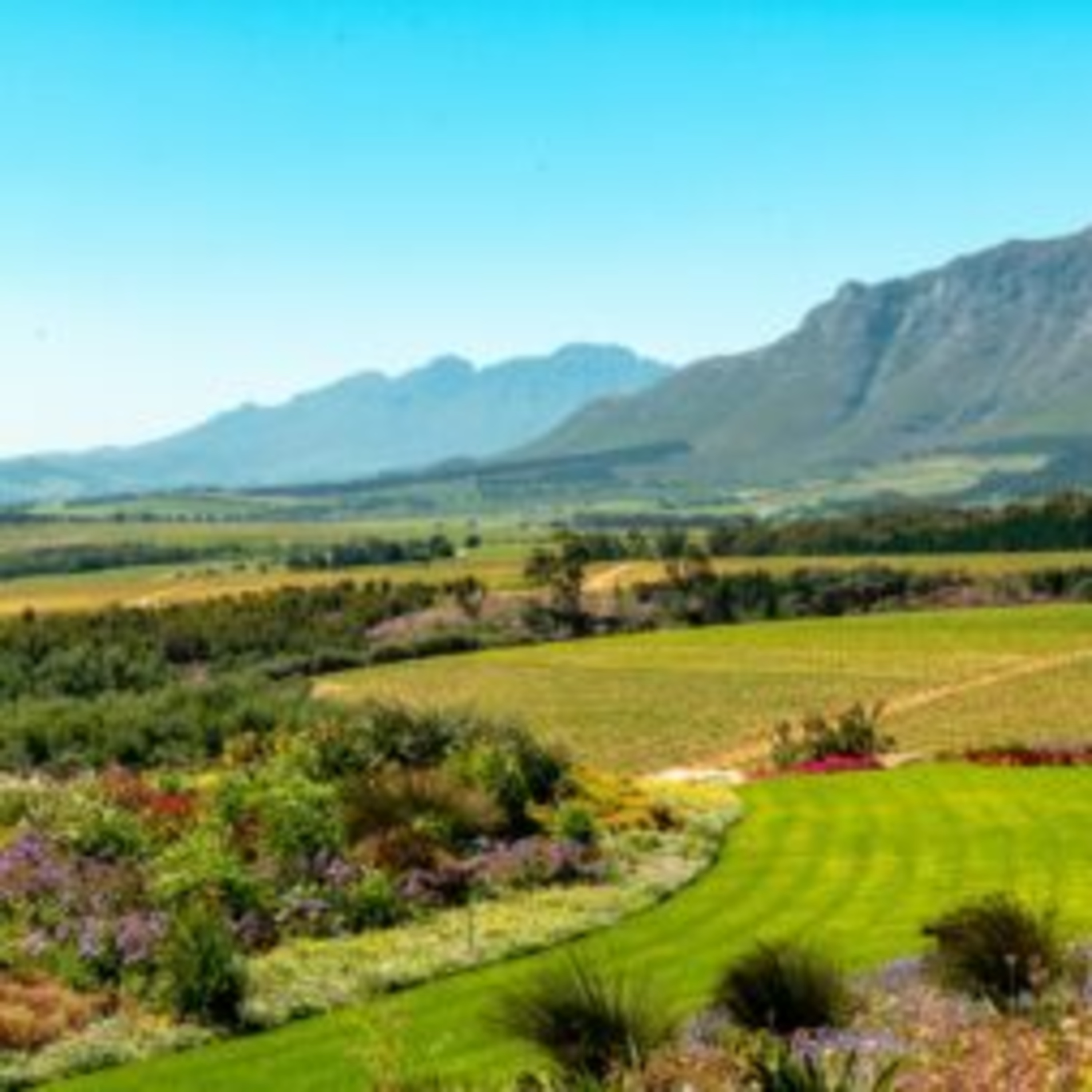 Discover Stellenbosch – Wine, Art & Wonder episode artwork