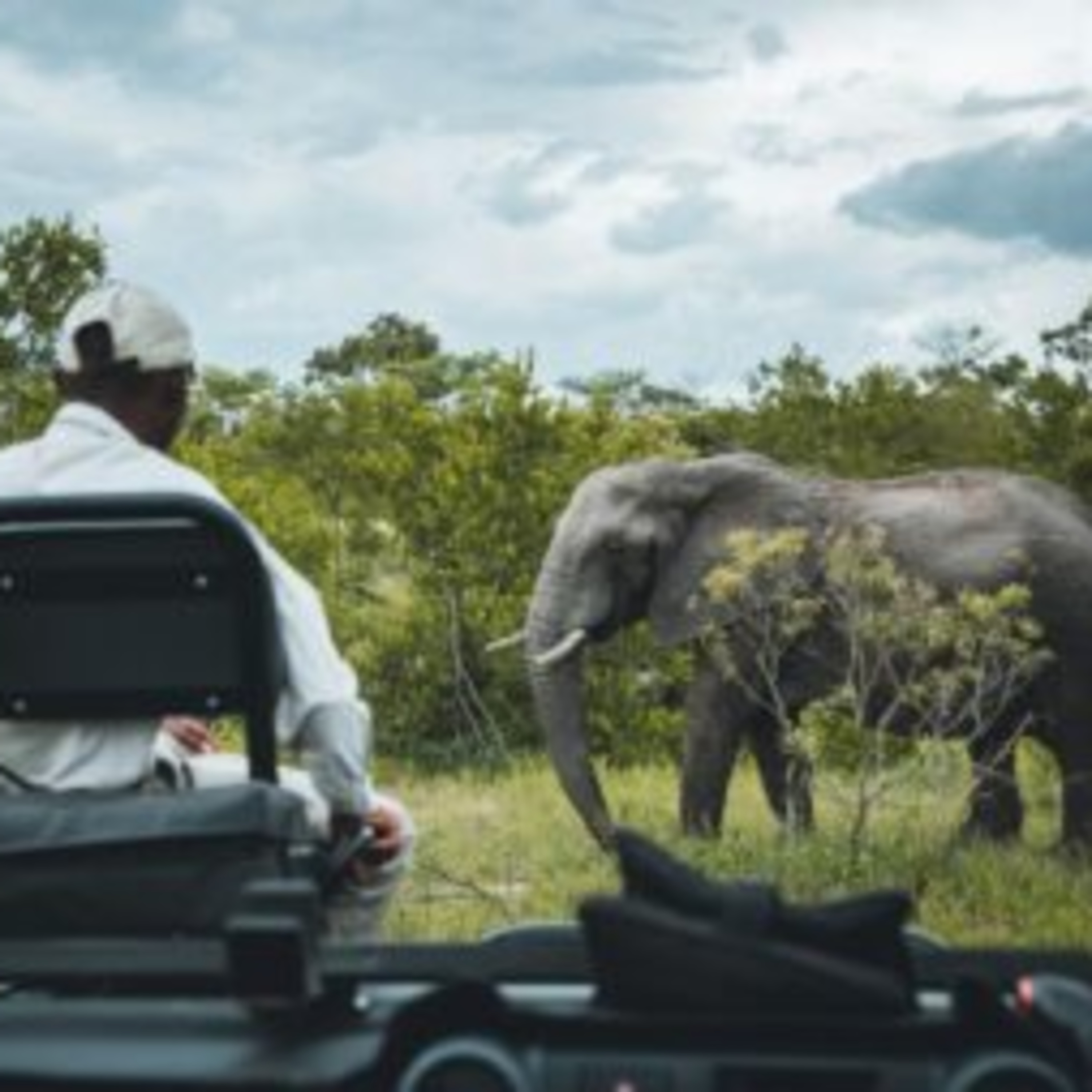 The History of the Kruger National Park episode artwork