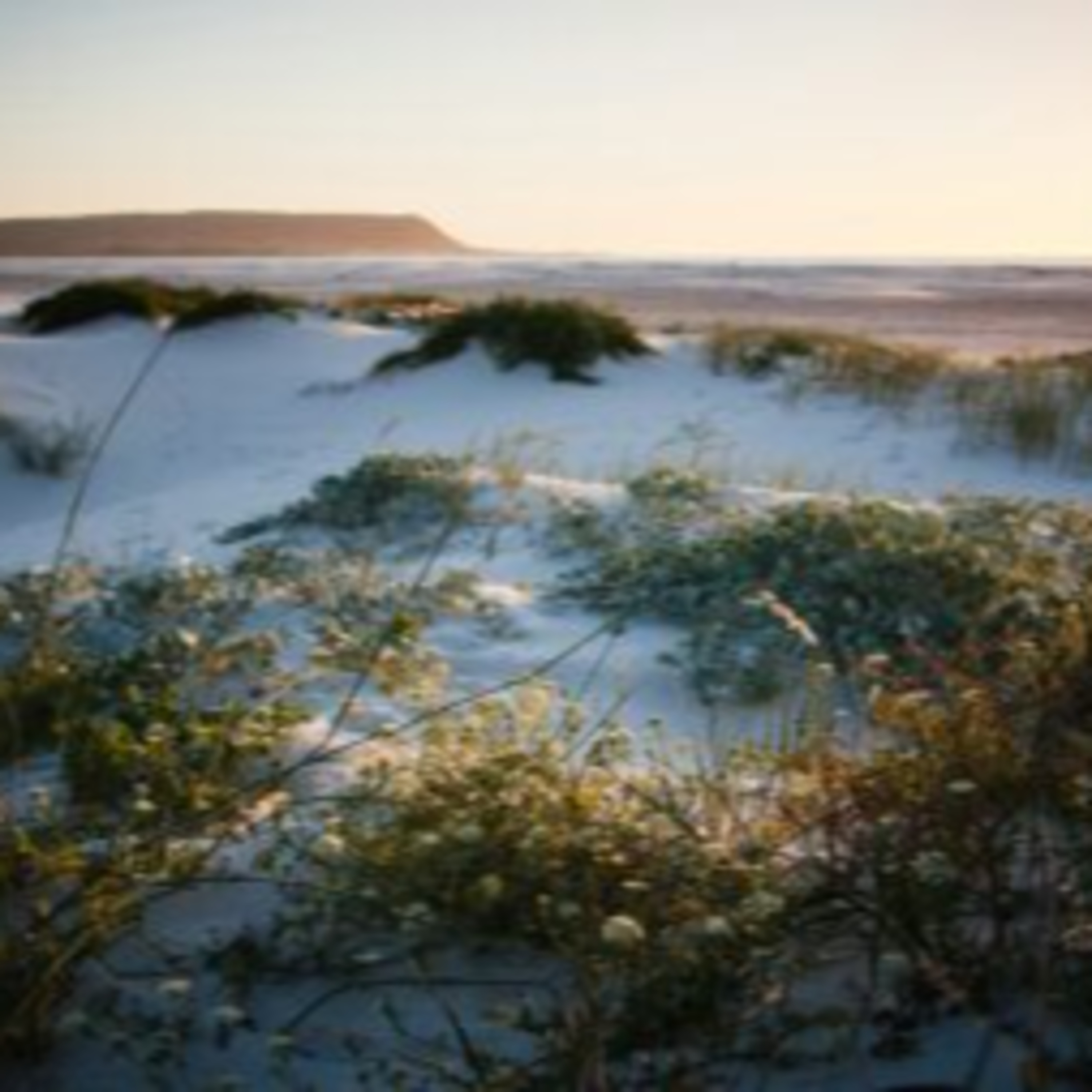 Luxury South African Destinations episode artwork