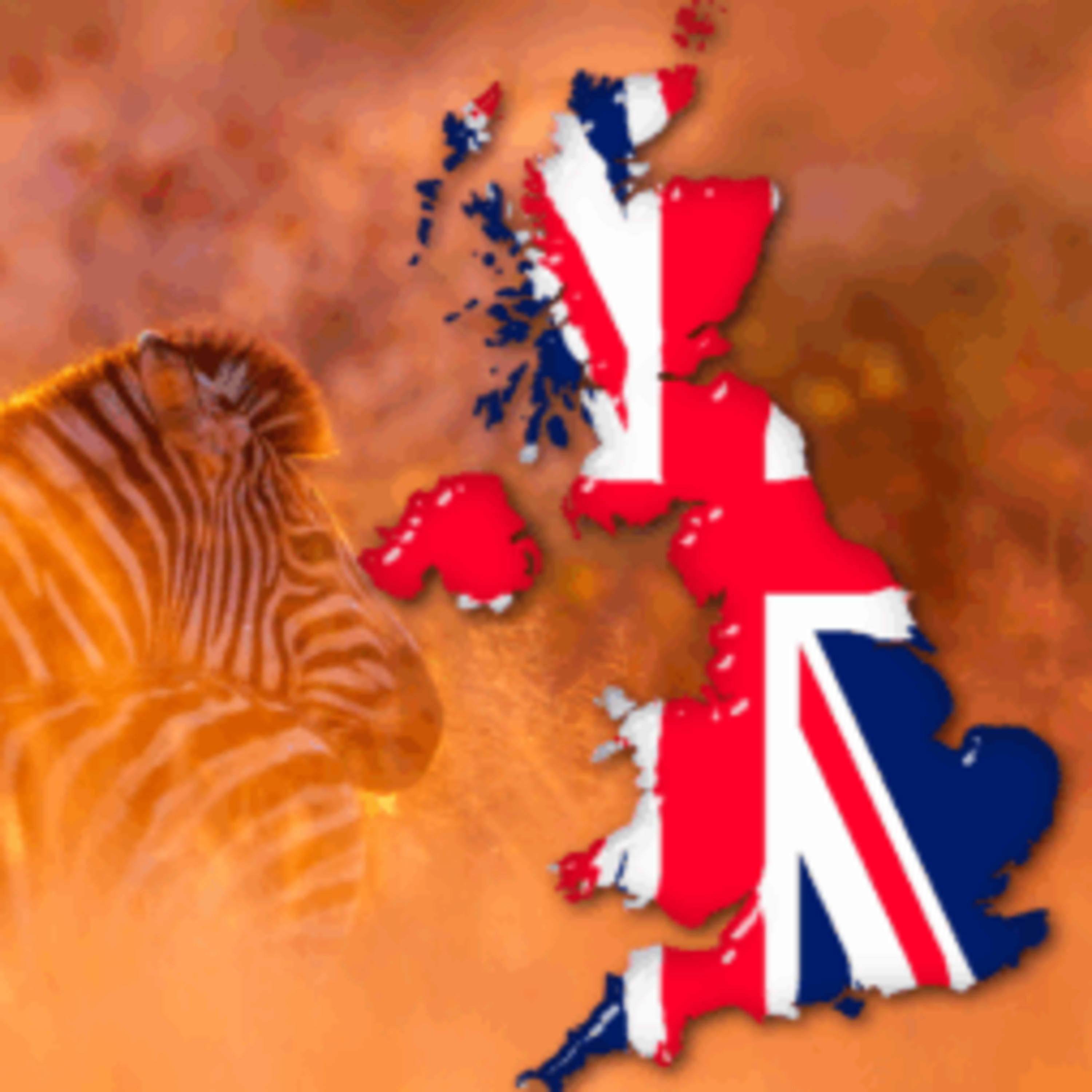 The Kruger for UK tourists: All You Need to Know Before Travelling episode artwork
