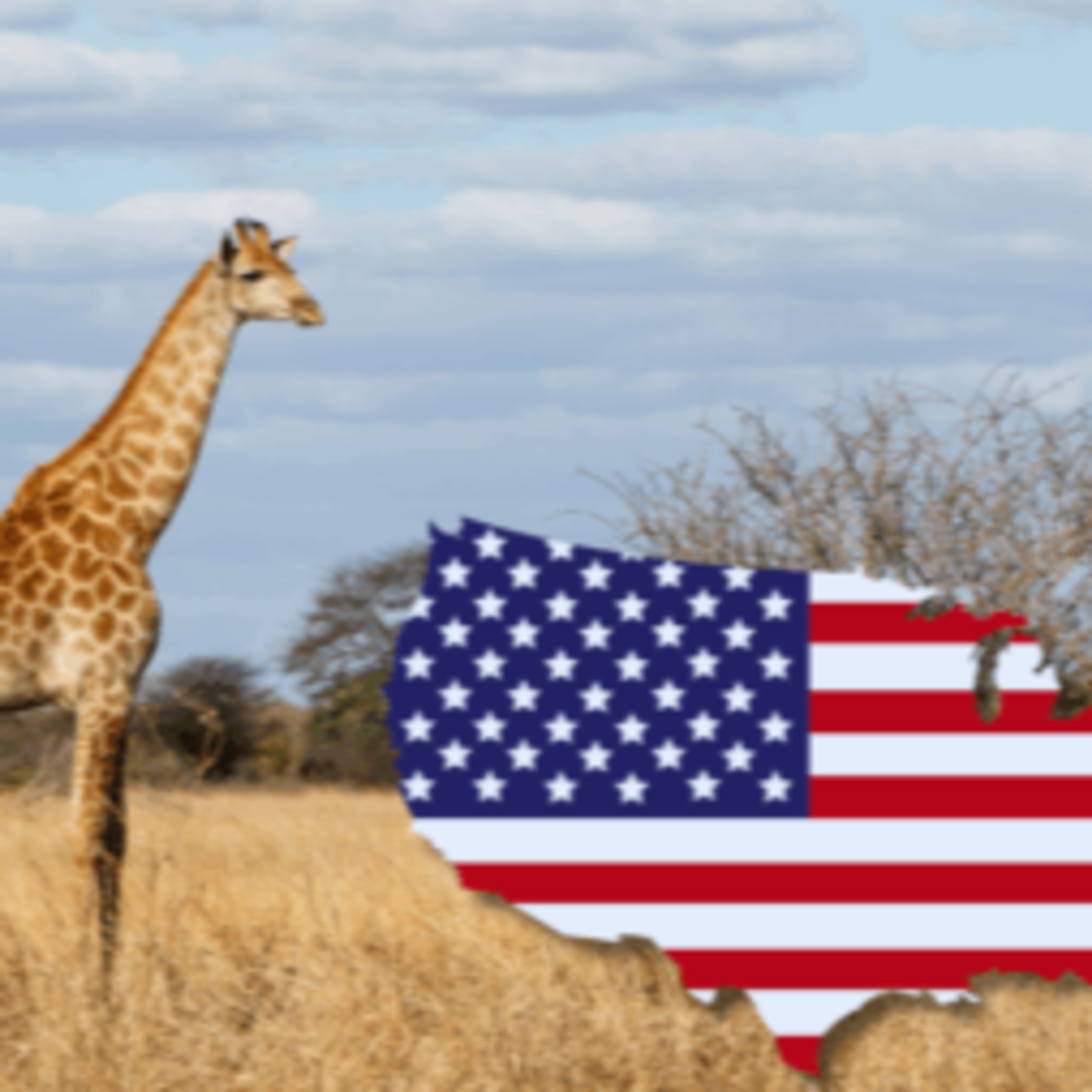The Kruger for US Tourists: A Comprehensive Guide episode artwork