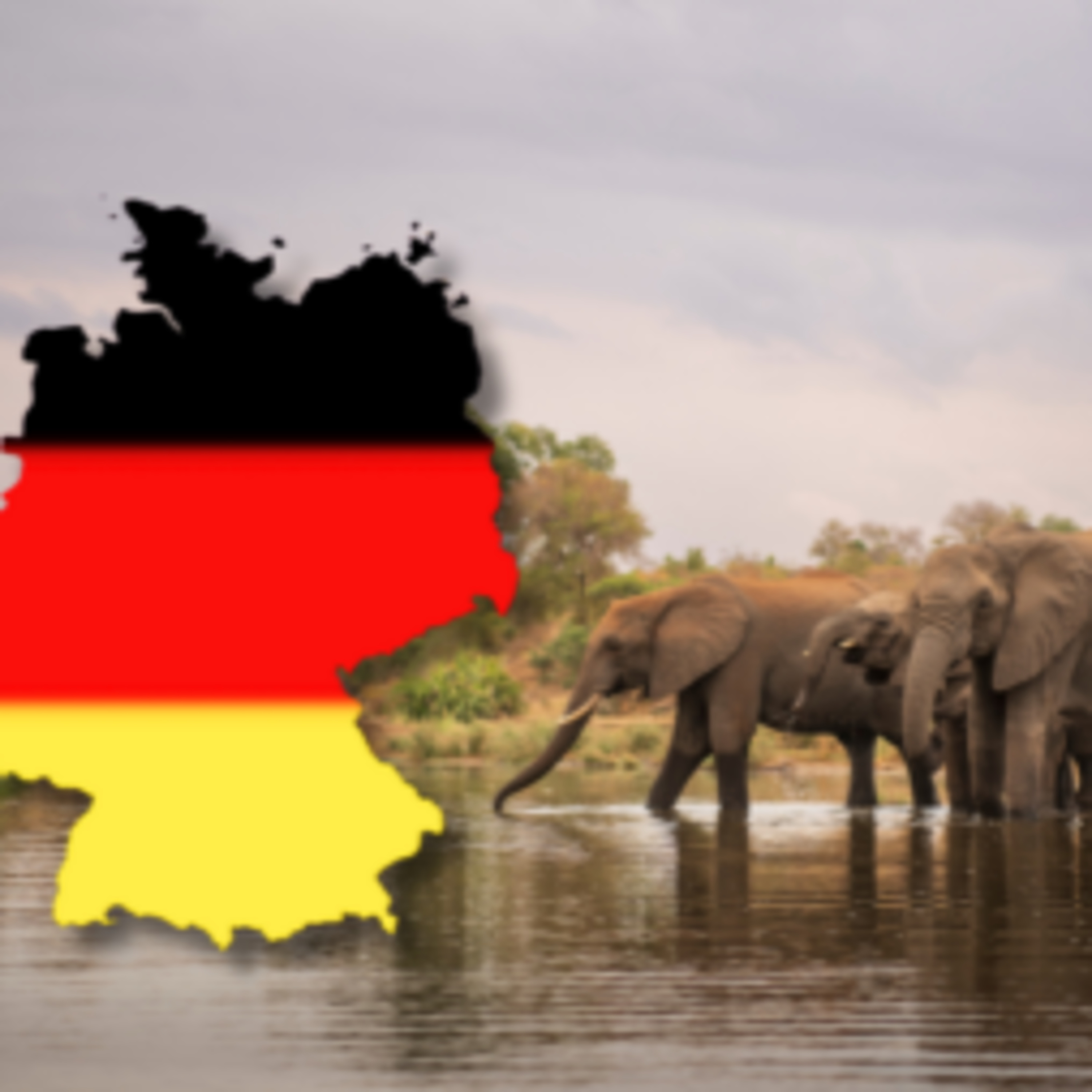 The Kruger for German Tourists: A Luxury Getaway Awaits episode artwork