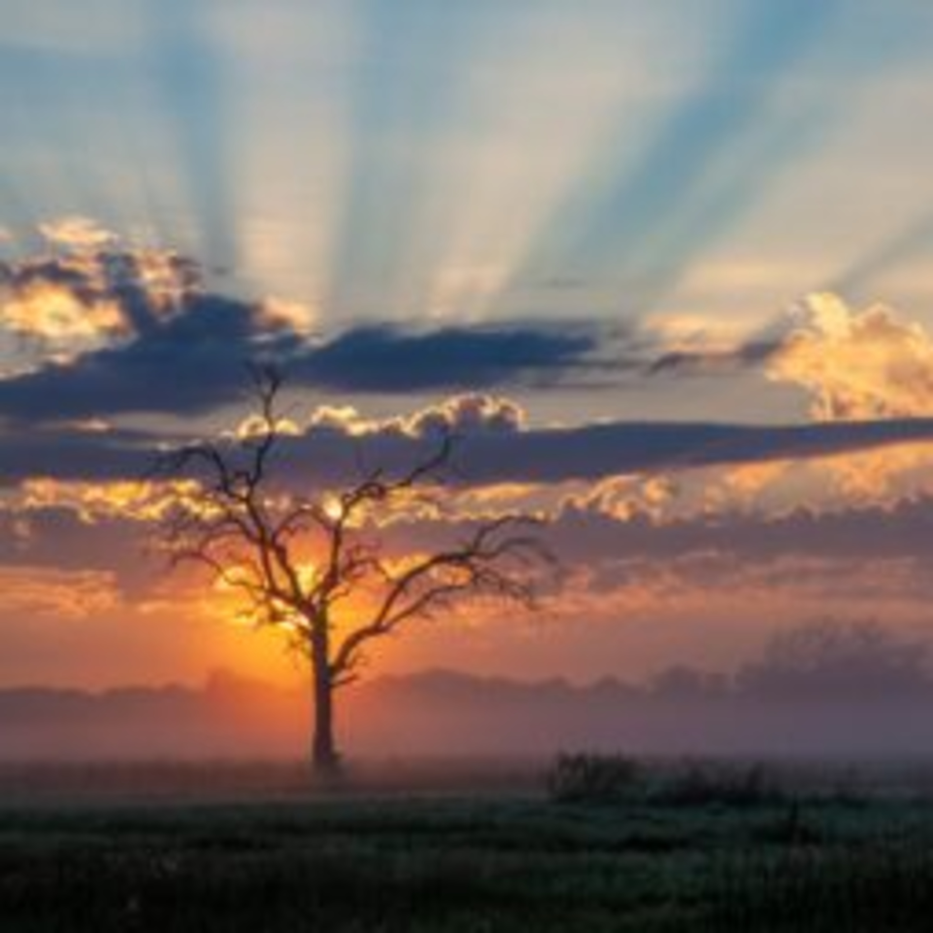 A Botswana Safari Journey episode artwork