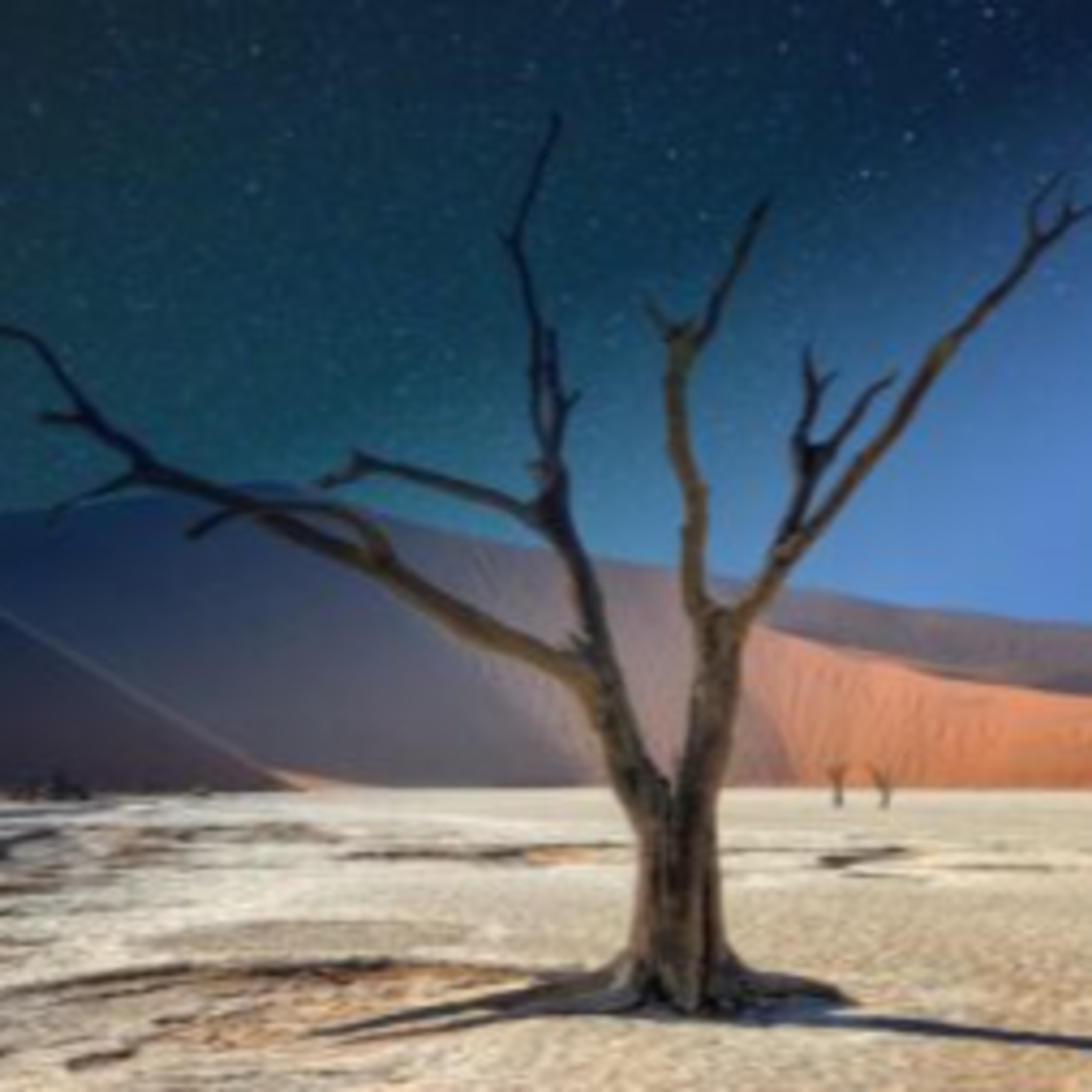 Visit Namibia: The Ultimate Desert Adventure episode artwork