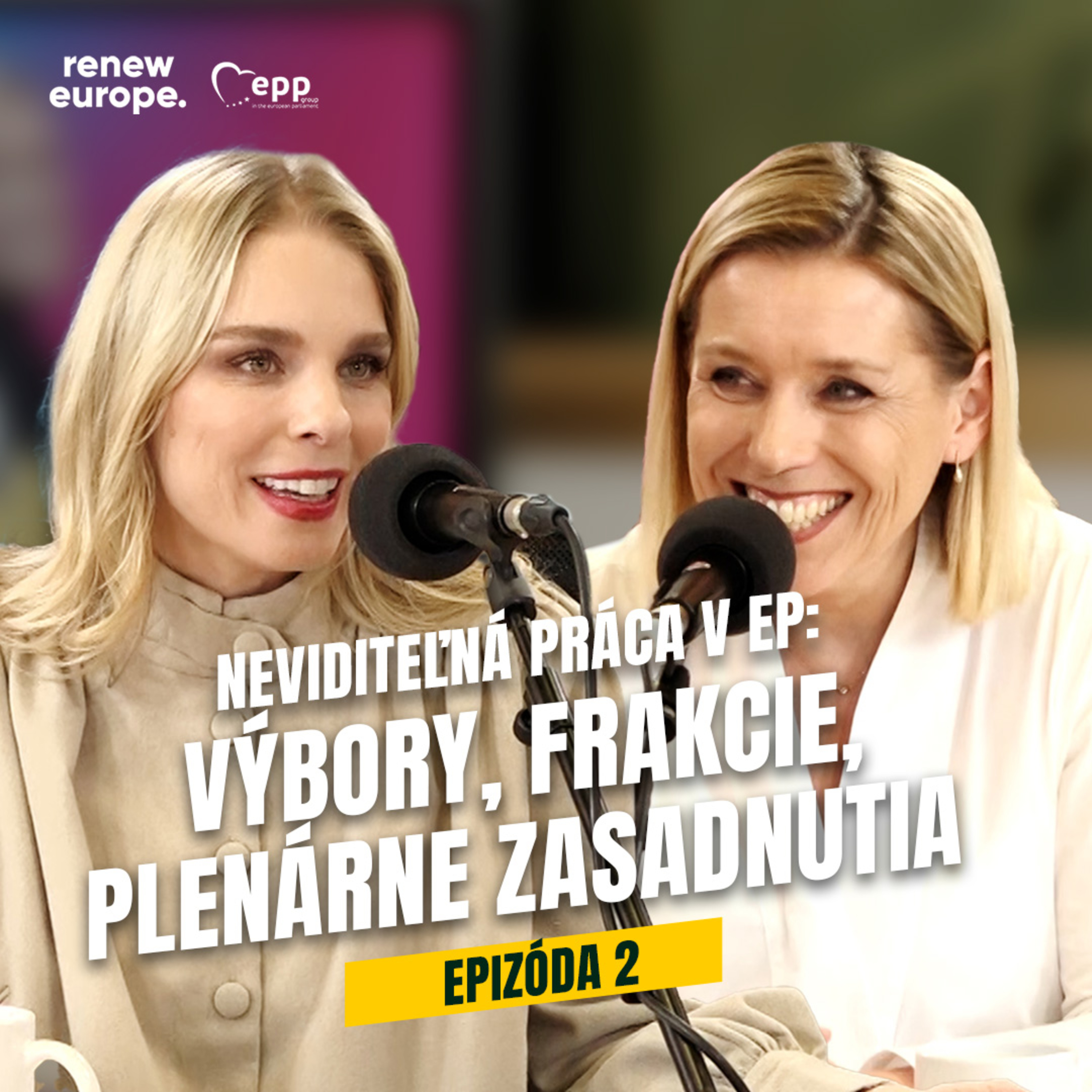 Ep. 2 - Neviditelná práce v EP: Výbory, frakce, plenární zasedání episode artwork