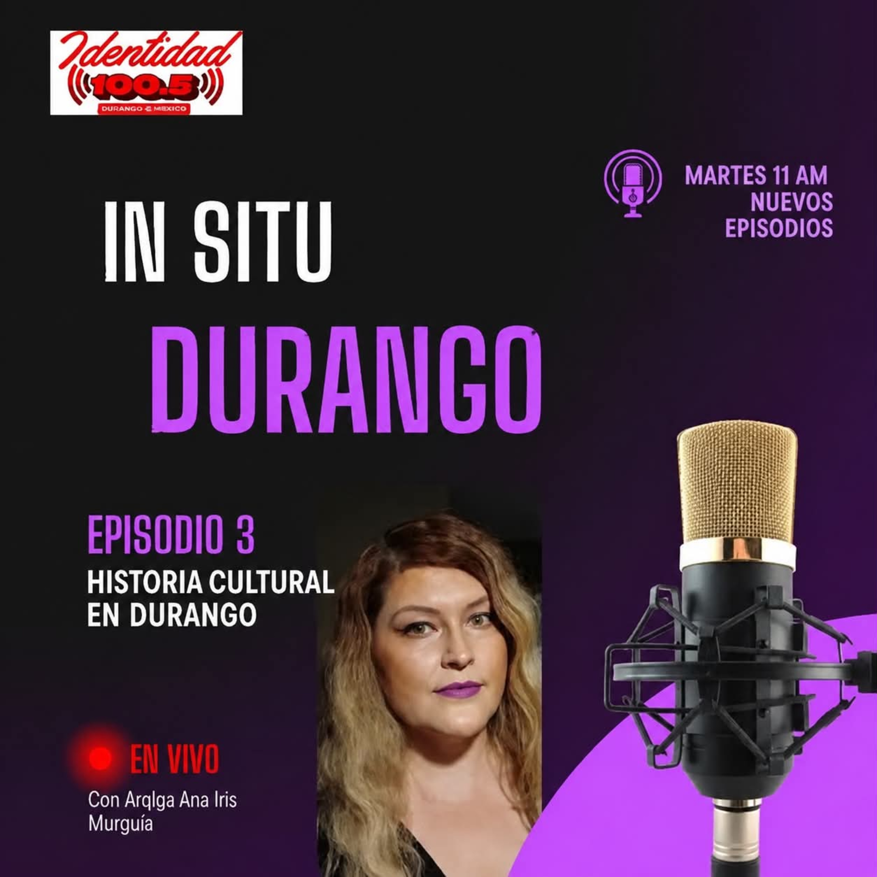 IN SITU: “Historia Cultural en Durango” episode artwork