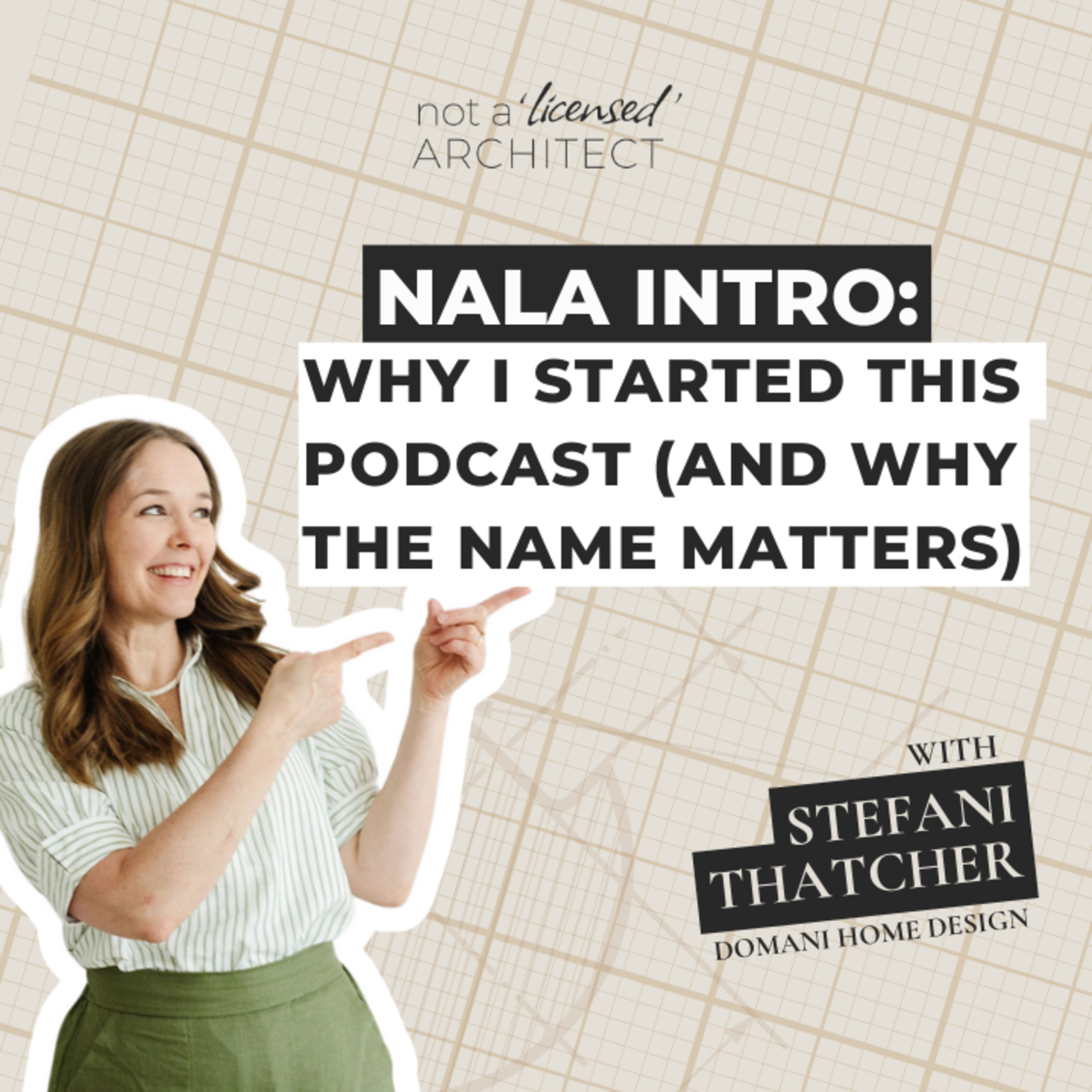 Not A \'Licensed\' Architect