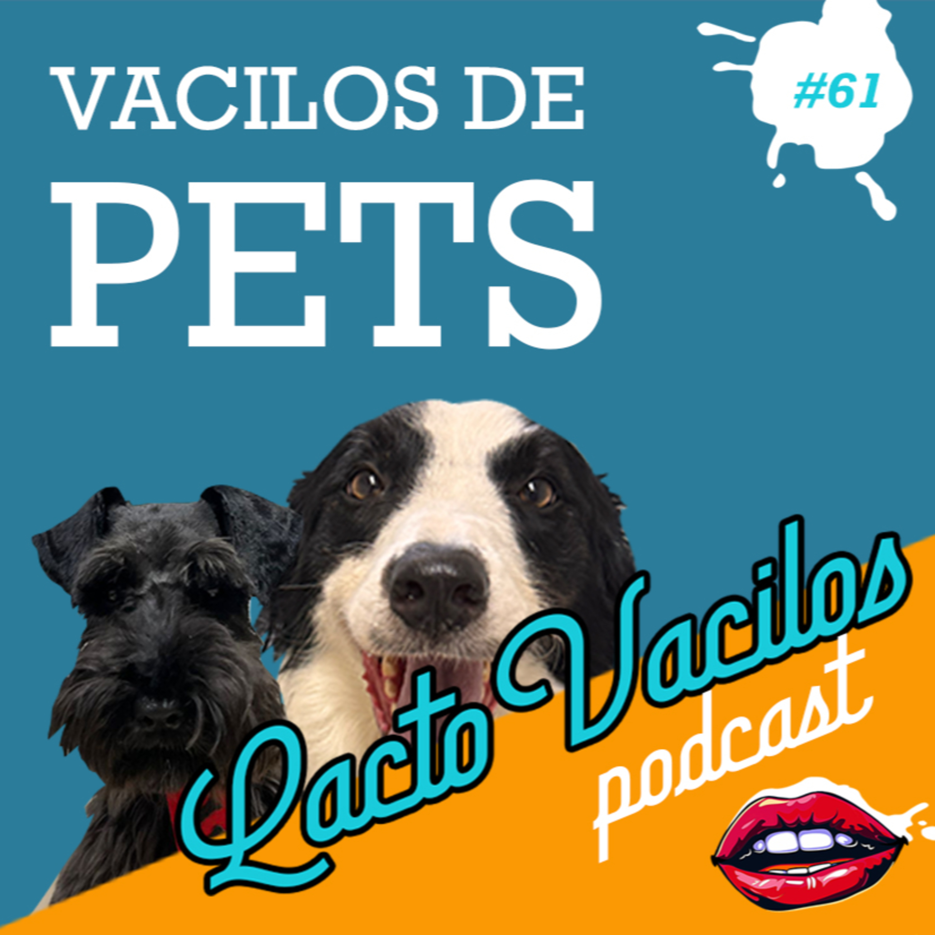 #61 - VACILOS DE PETS episode artwork
