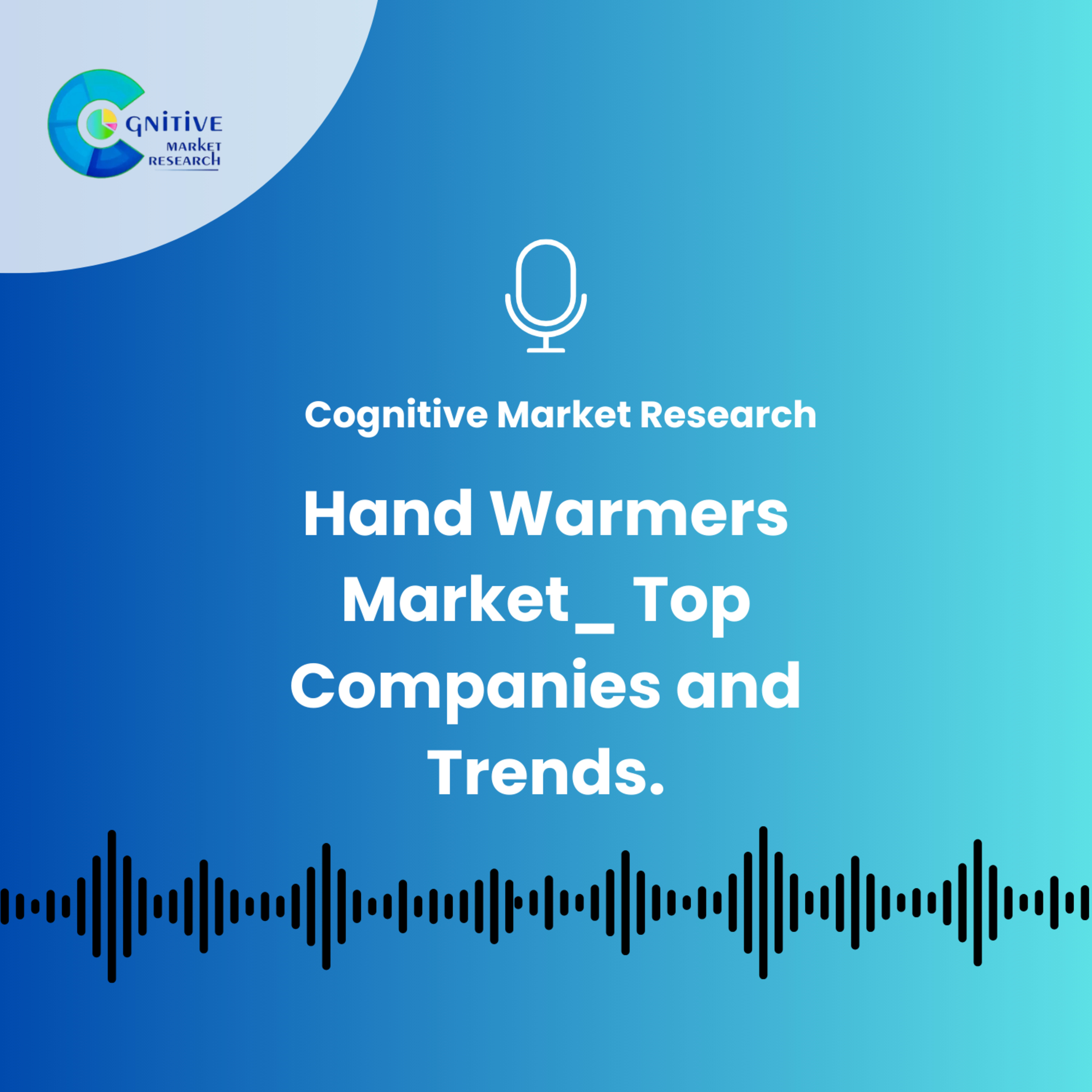 Hand Warmers Market_ Top Companies and Trends. episode artwork