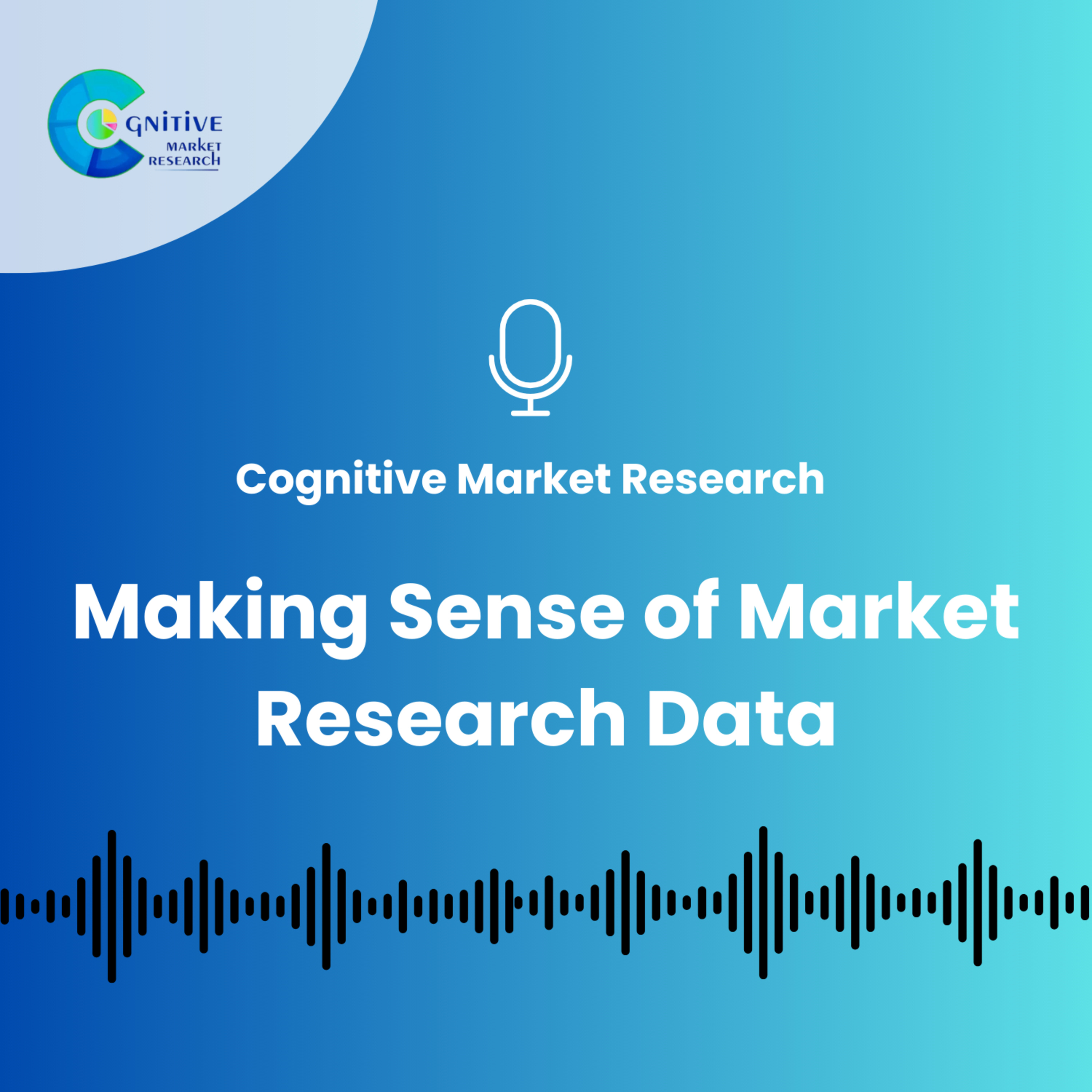 Making Sense of Market Research Data episode artwork