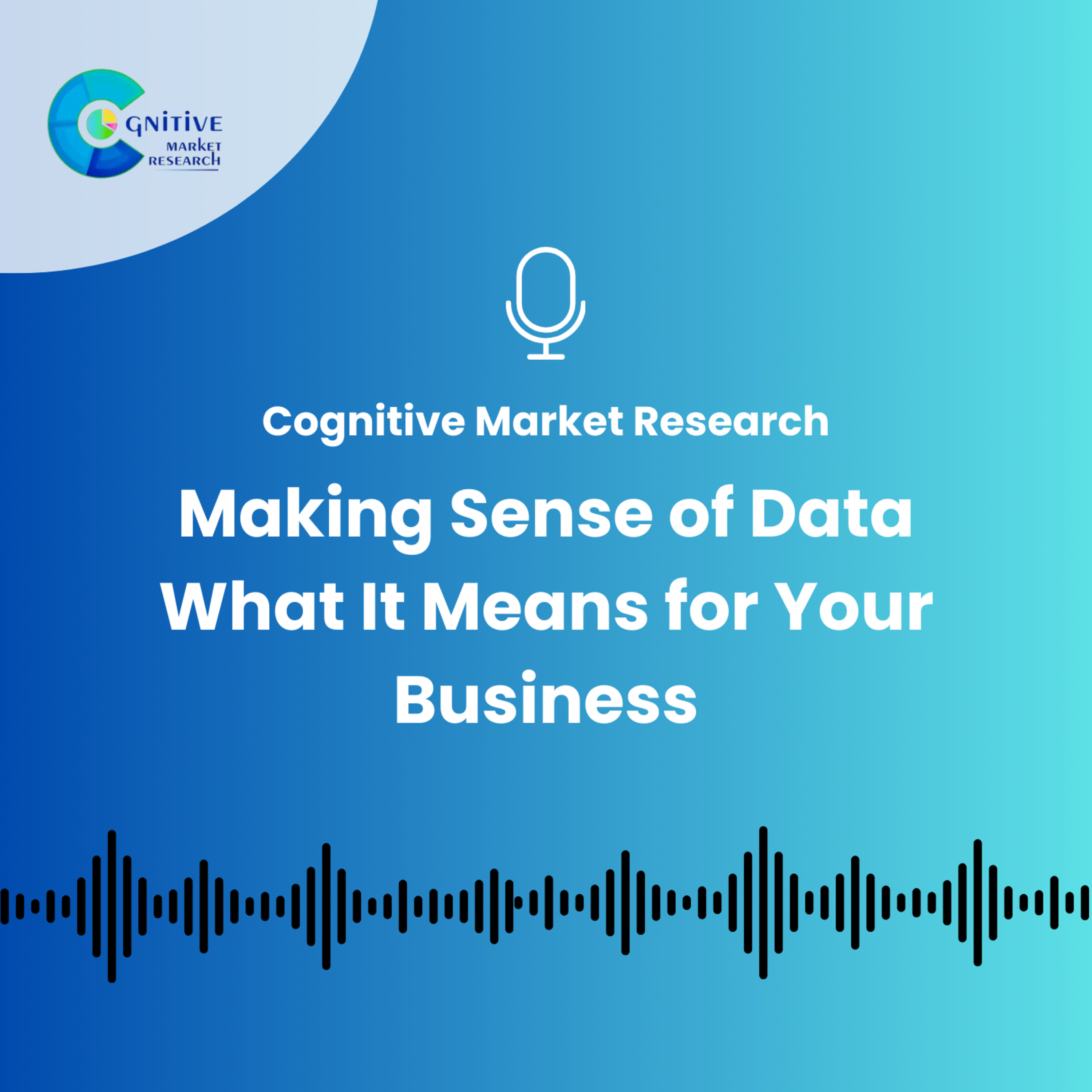 Making Sense of Data What It Means for Your Business episode artwork