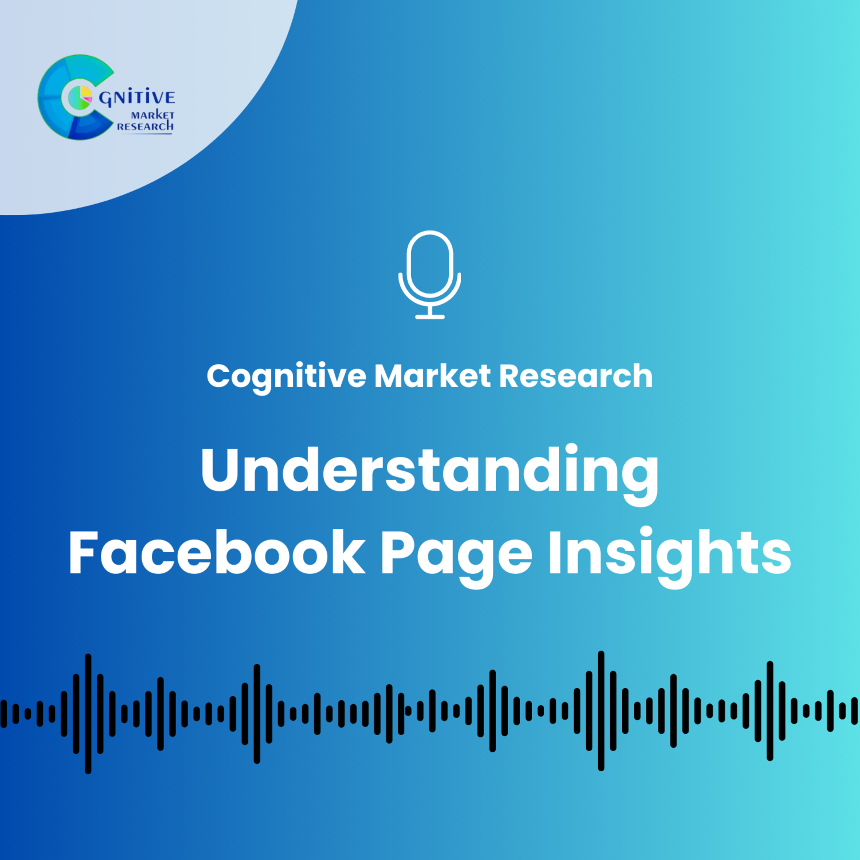 Understanding Facebook Page Insights episode artwork