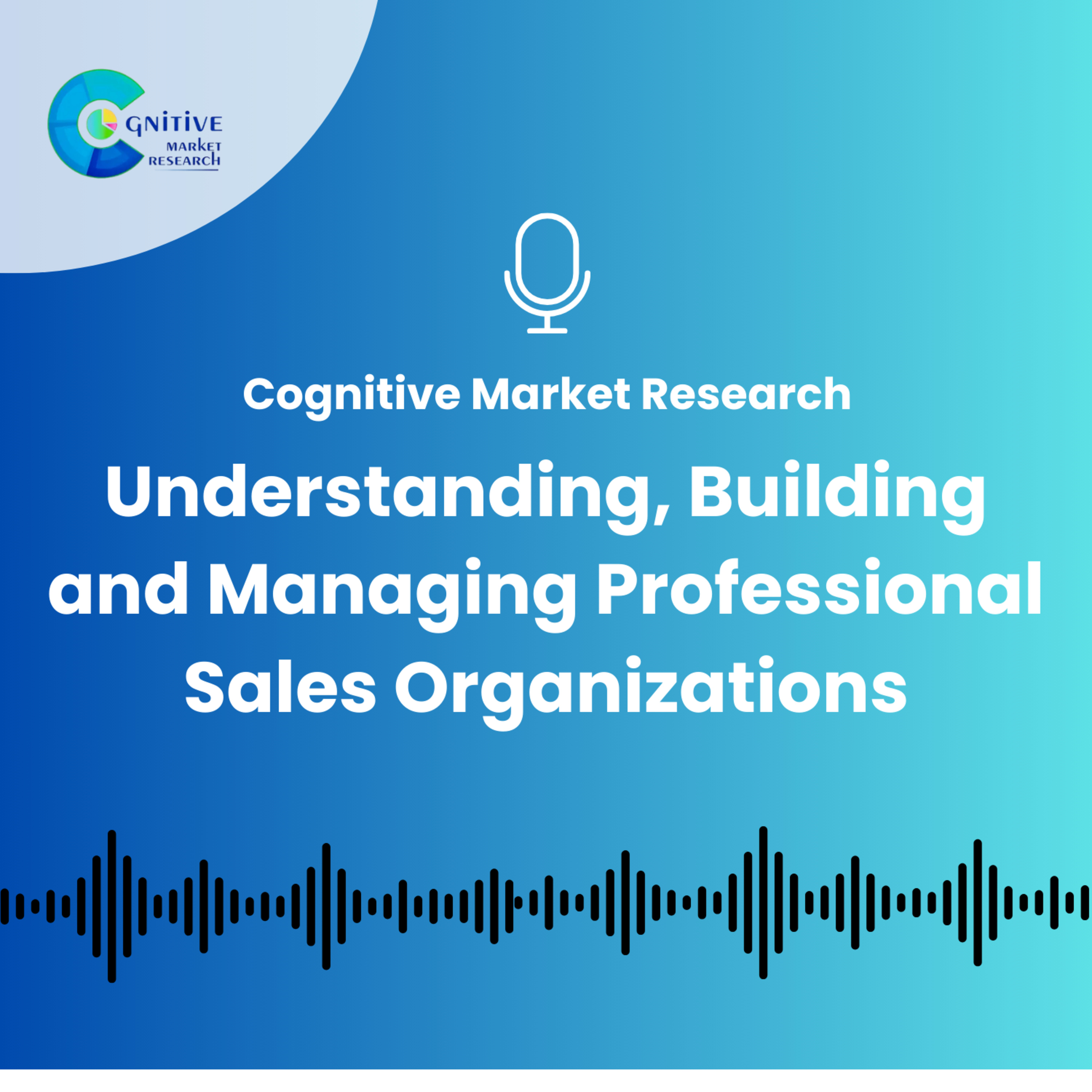 Understanding Building and Managing Professional Sales Organizations episode artwork