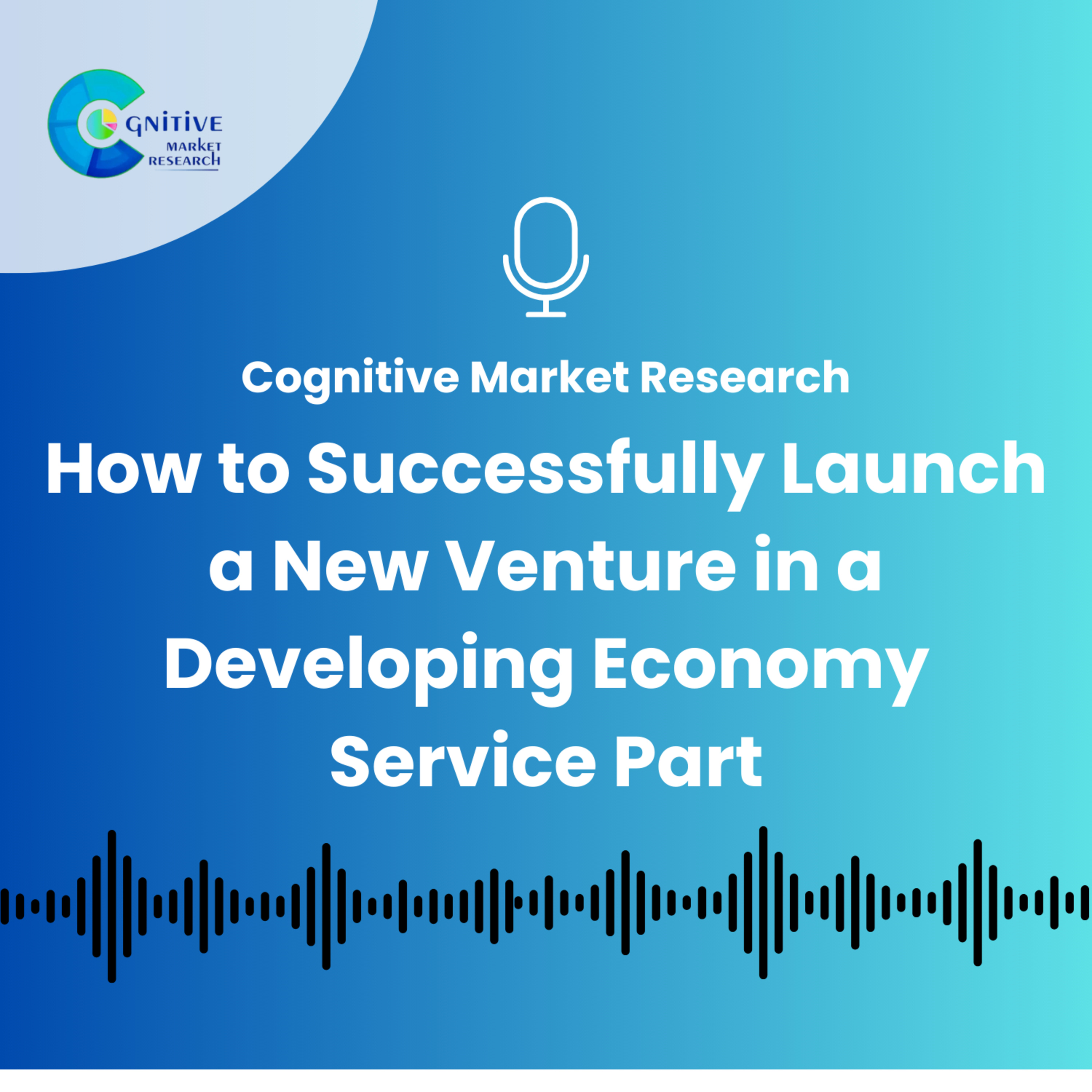 How to Successfully Launch a New Venture in a Developing Economy Service Part episode artwork