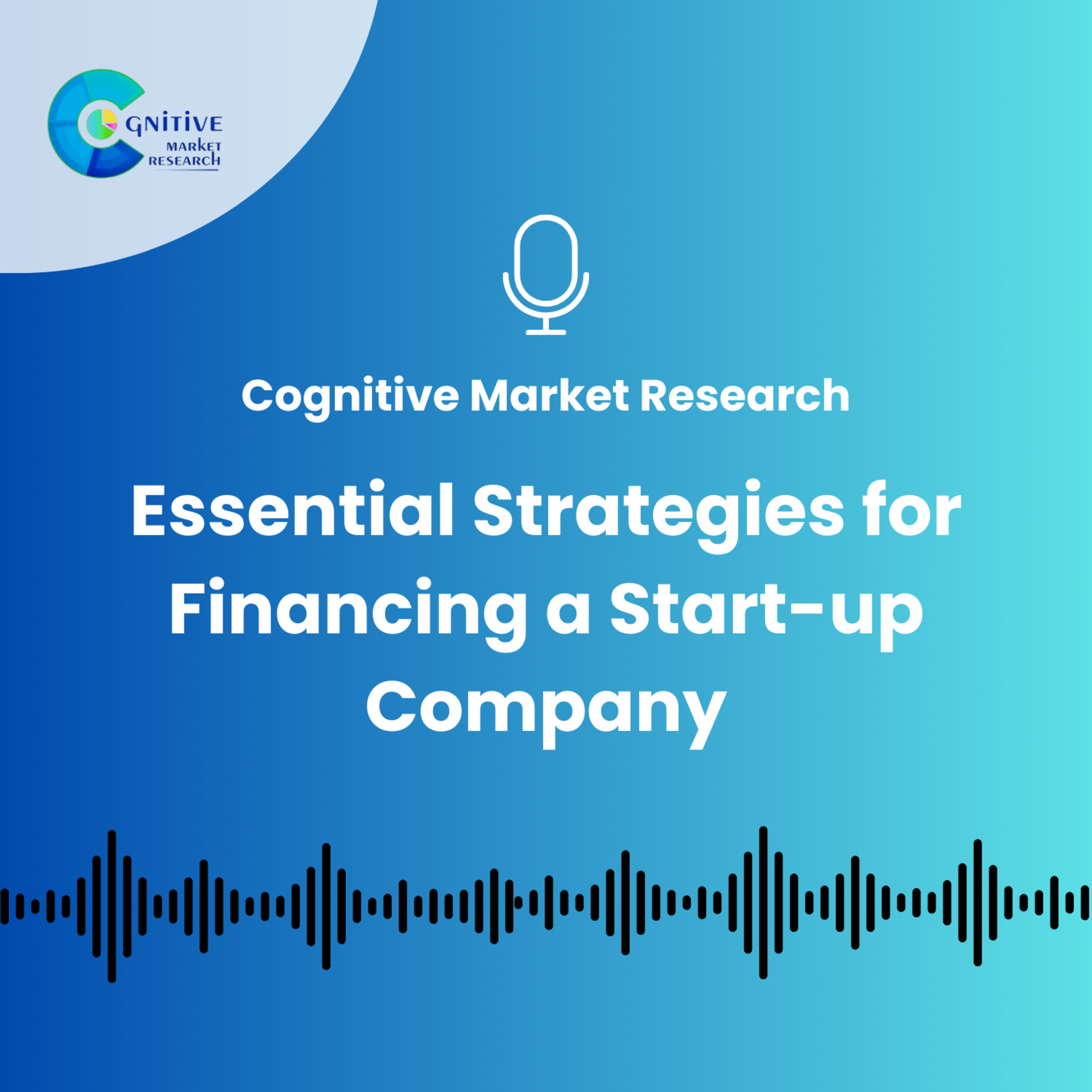 Essential Strategies for Financing a Start-up Company episode artwork