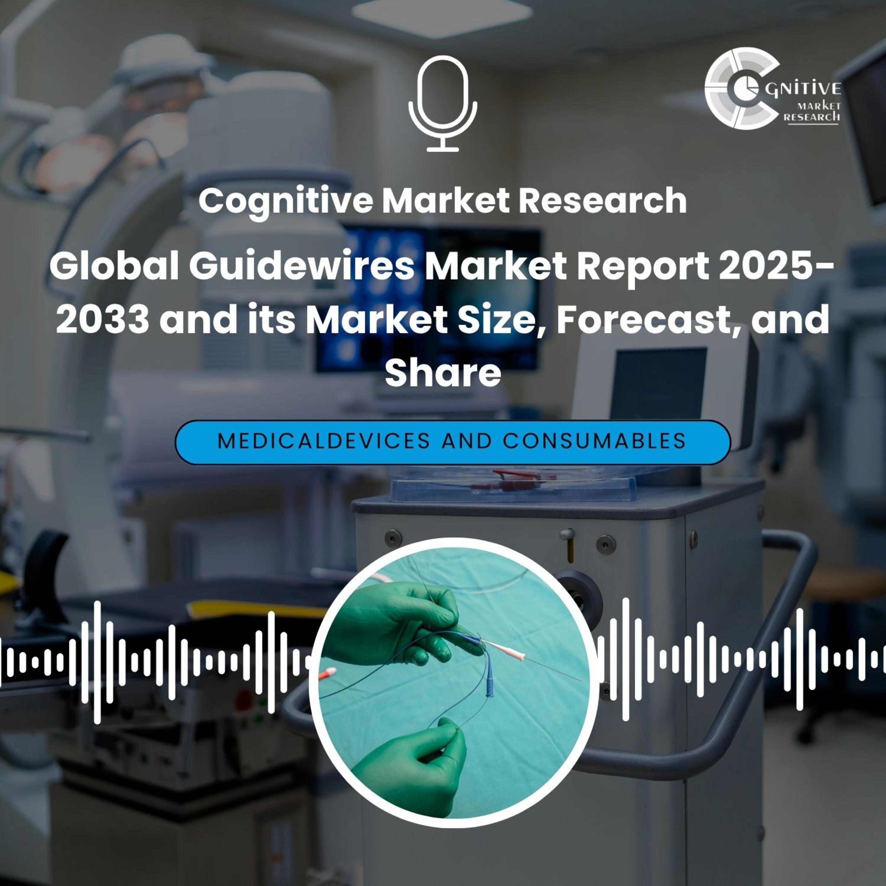 Global Guidewires Market Report 2025-2033 and its Market Size, Forecast, and Share episode artwork