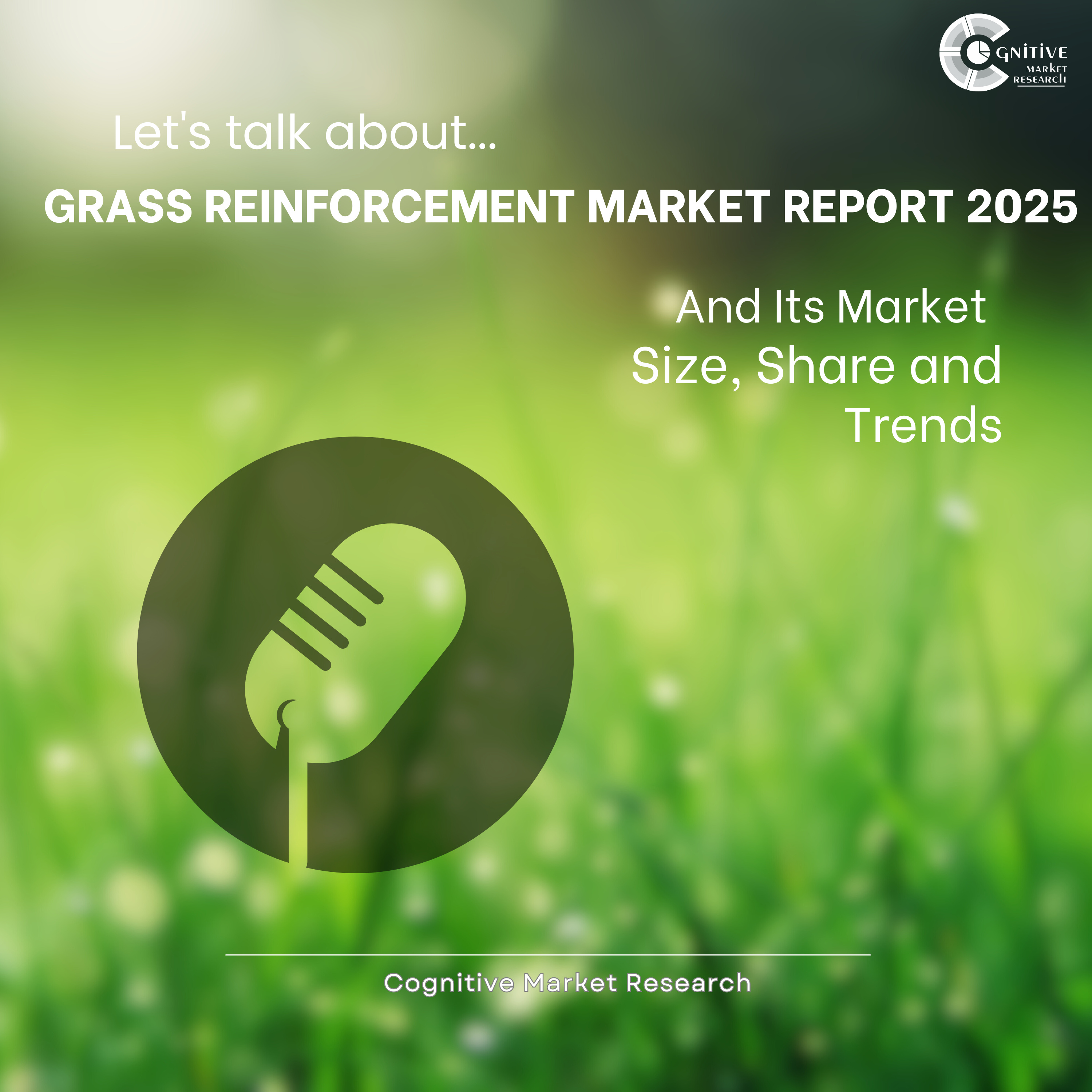 Grass Reinforcement Market Report 2025 And Its Market Size, Share and Trends episode artwork
