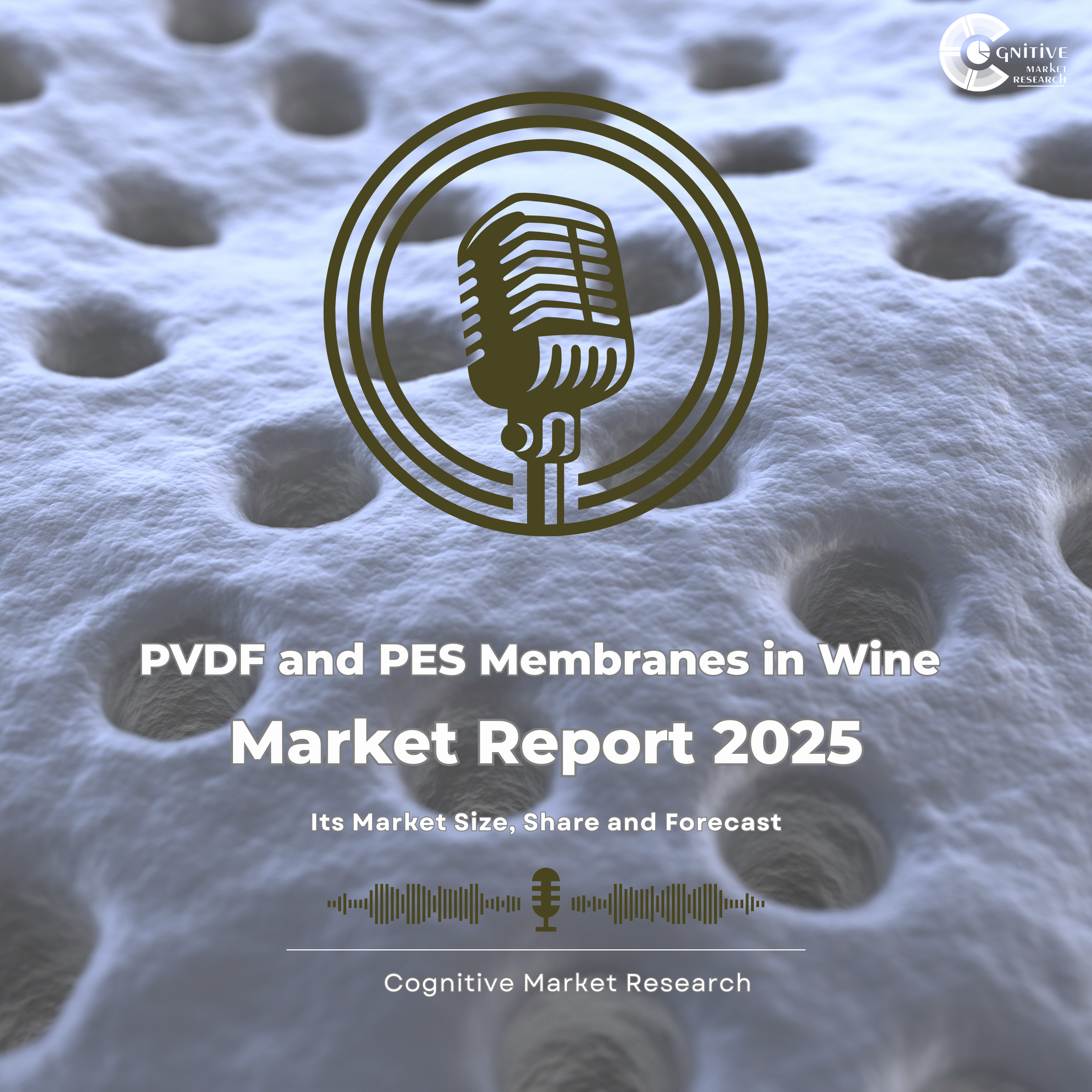 Precision in Every Pour: How PVDF and PES Membranes Are Transforming Wine Filtration episode artwork