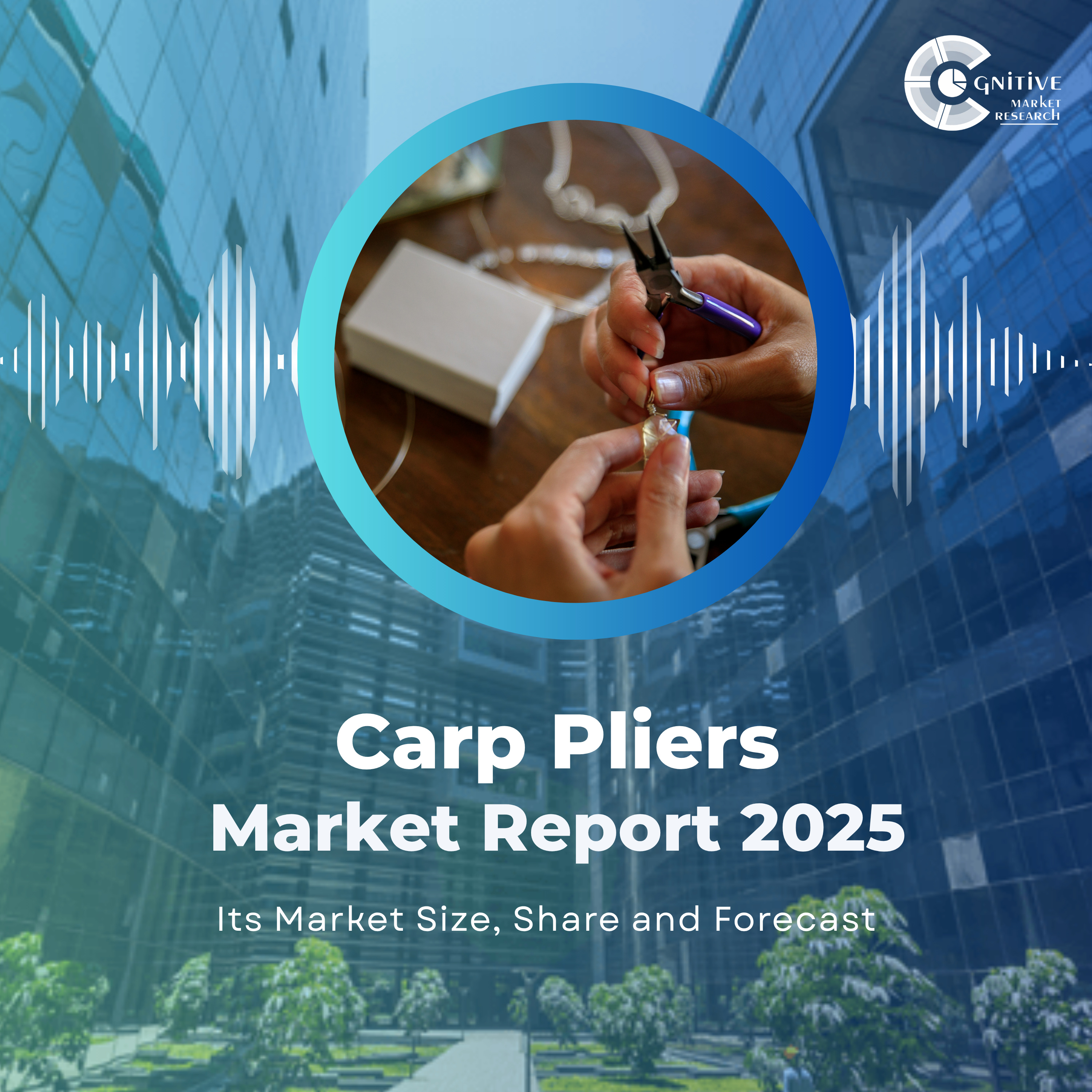 🔧 Global Carp Pliers Market: Regional Growth & Future Outlook Through 2033 episode artwork