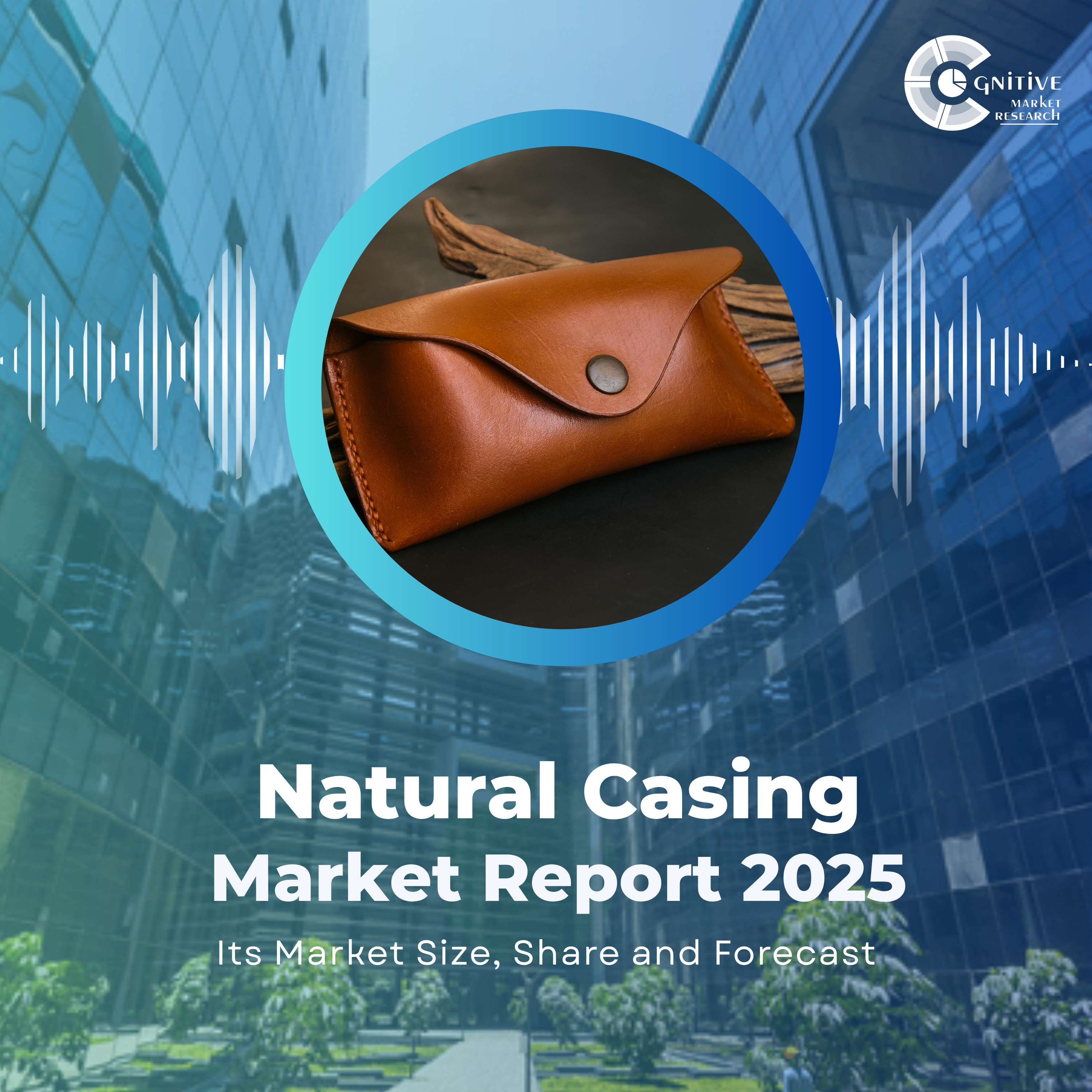 Global Boom in Natural Casing Market: Country-Level Revenue Insights to 2033 episode artwork