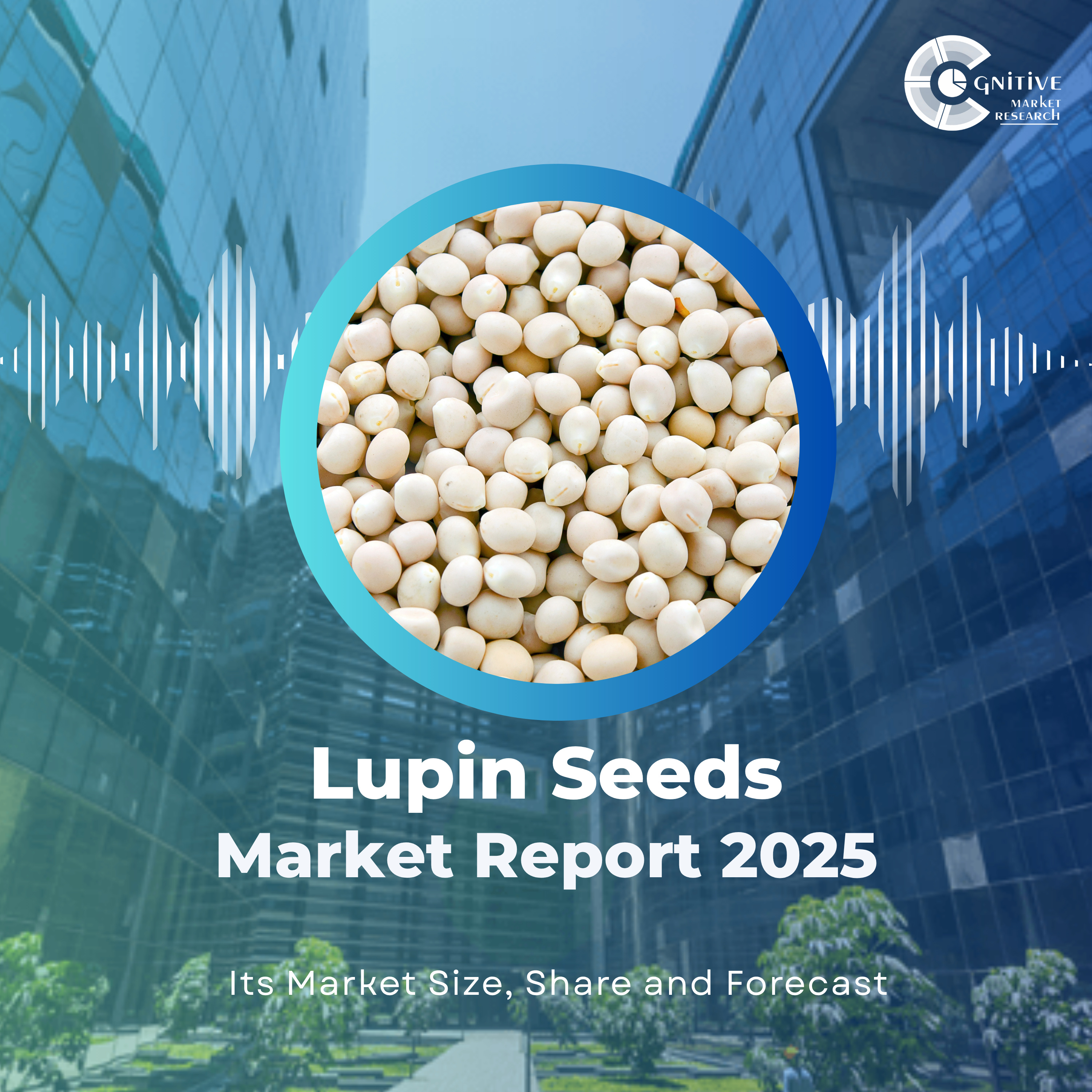 Lupin Seed Market Size, Share, Trends & Forecast (2021–2033) episode artwork