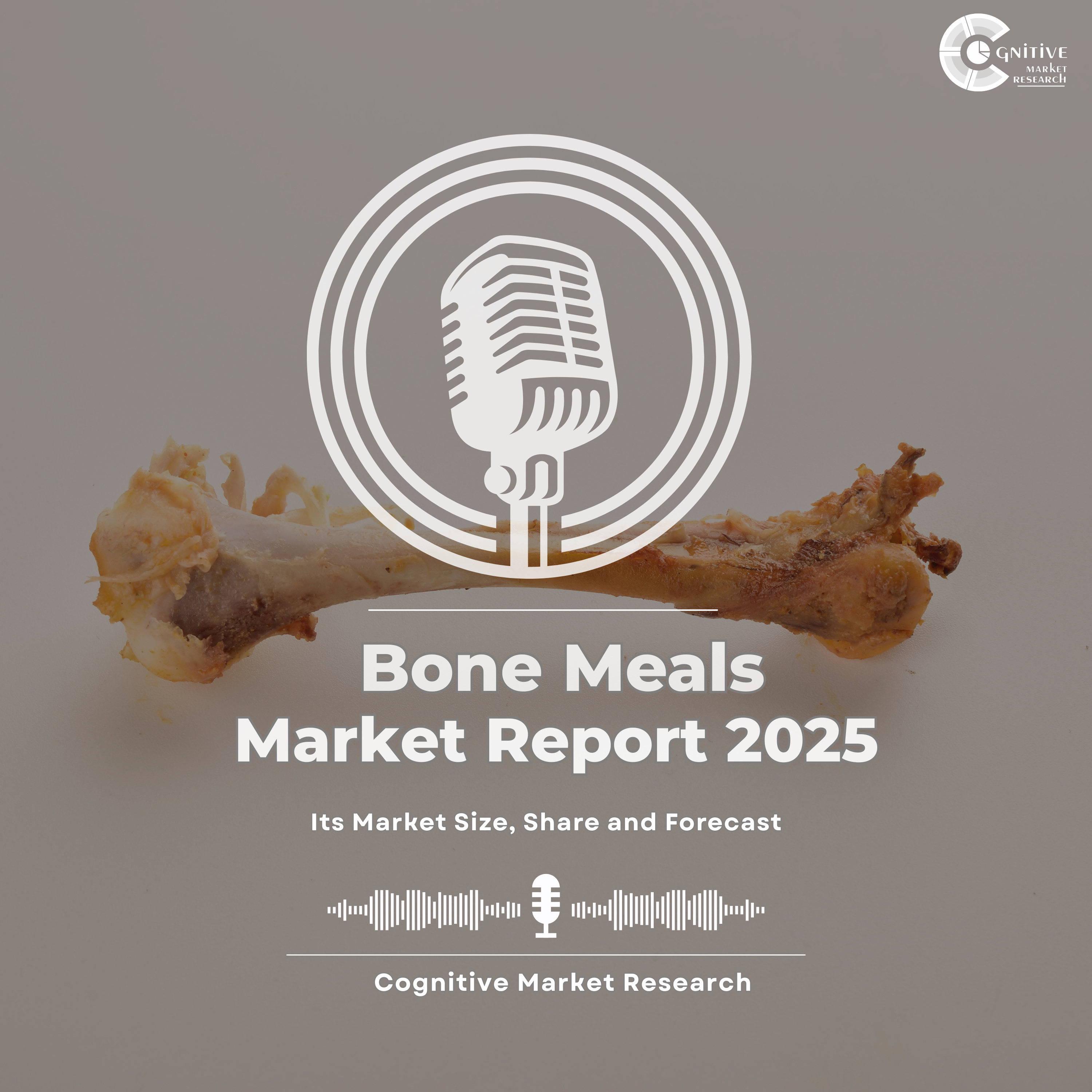 Bone Meals Market Report 2025 and its Market Trends, Share and Forecast episode artwork