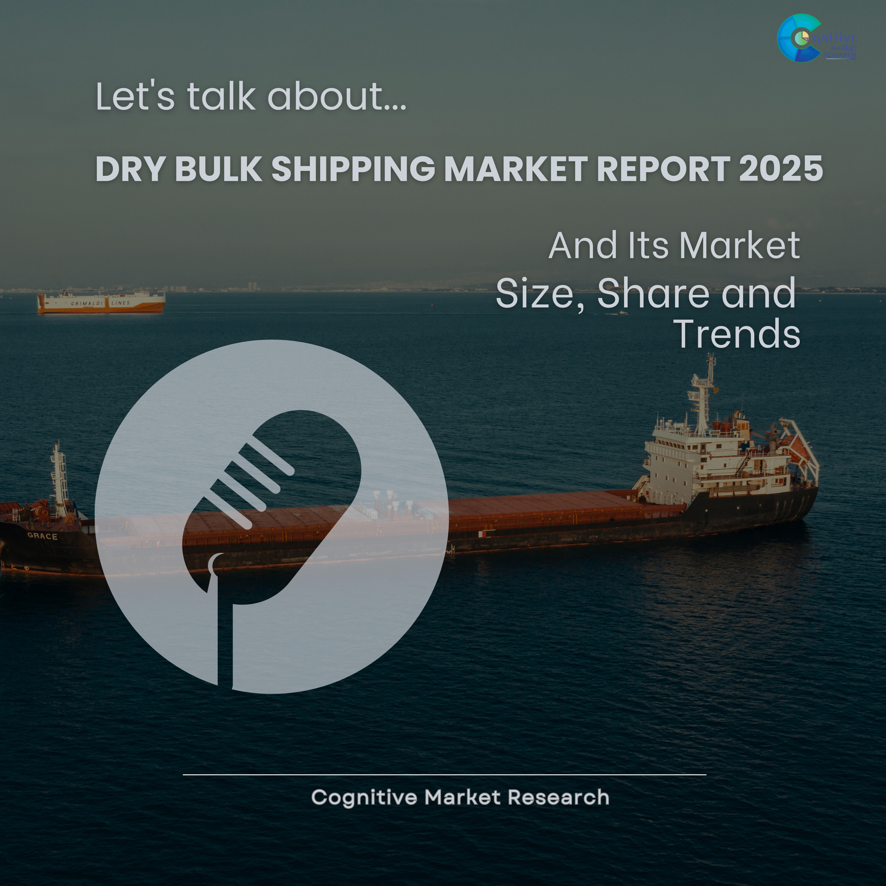 Dry Bulk Shipping Market Report 2025 and its Size Share and Trends  episode artwork
