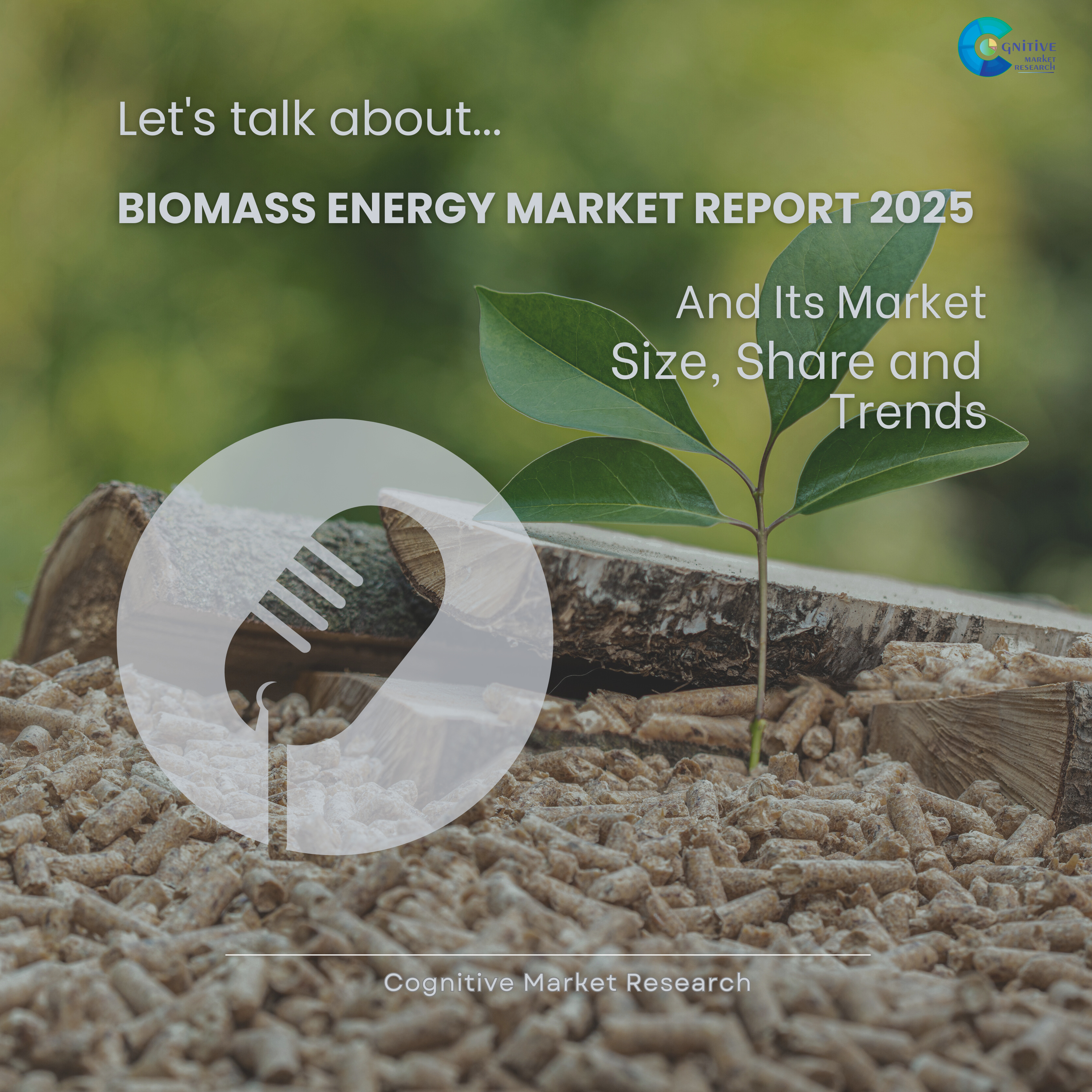 Biomass Energy Market Report 2025 and its Size Share and Trends  episode artwork
