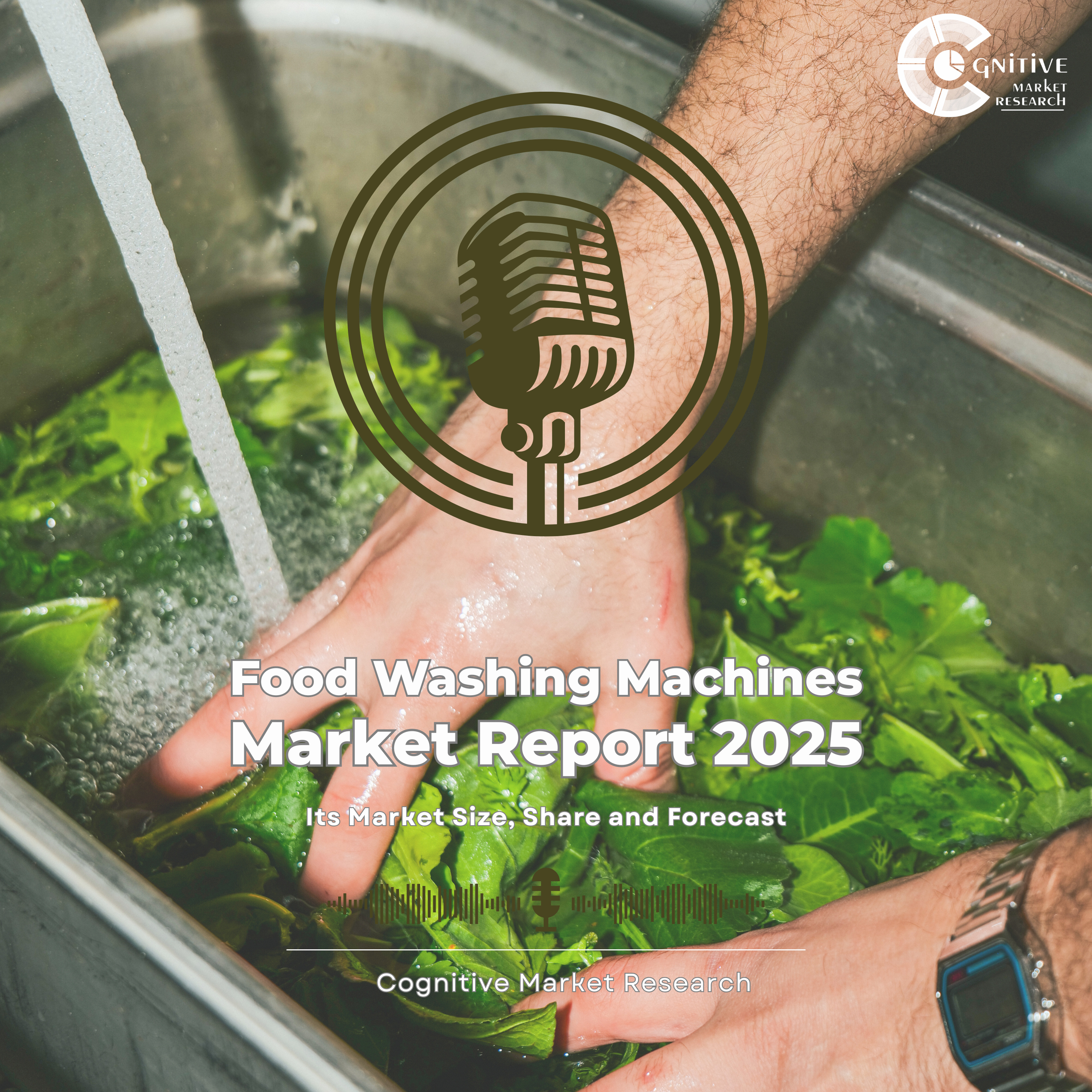 Food Washing Machines and its Market Size, Forecast, and Share episode artwork