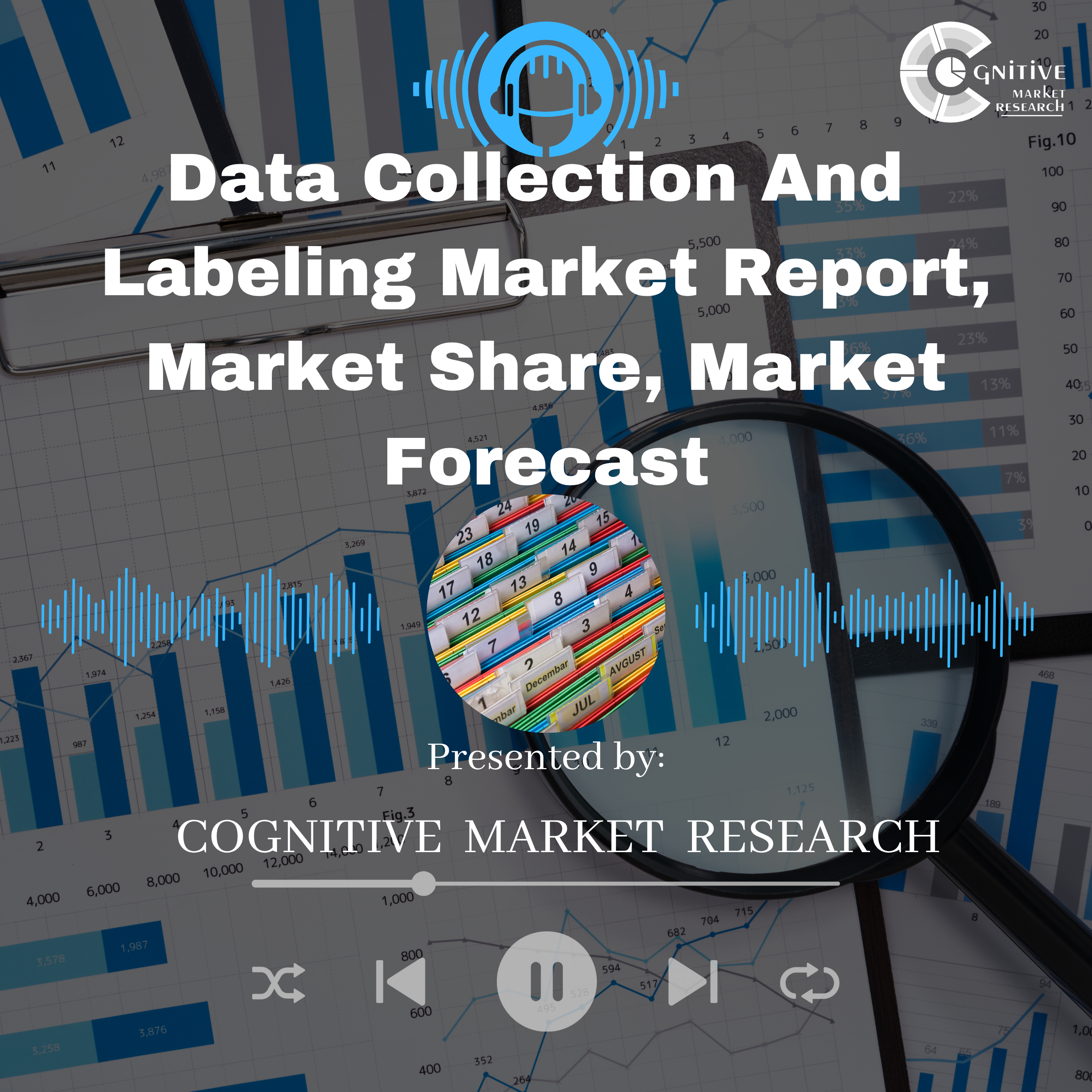 Data Collection And Labeling Market Report, Market Size and It's Trends episode artwork