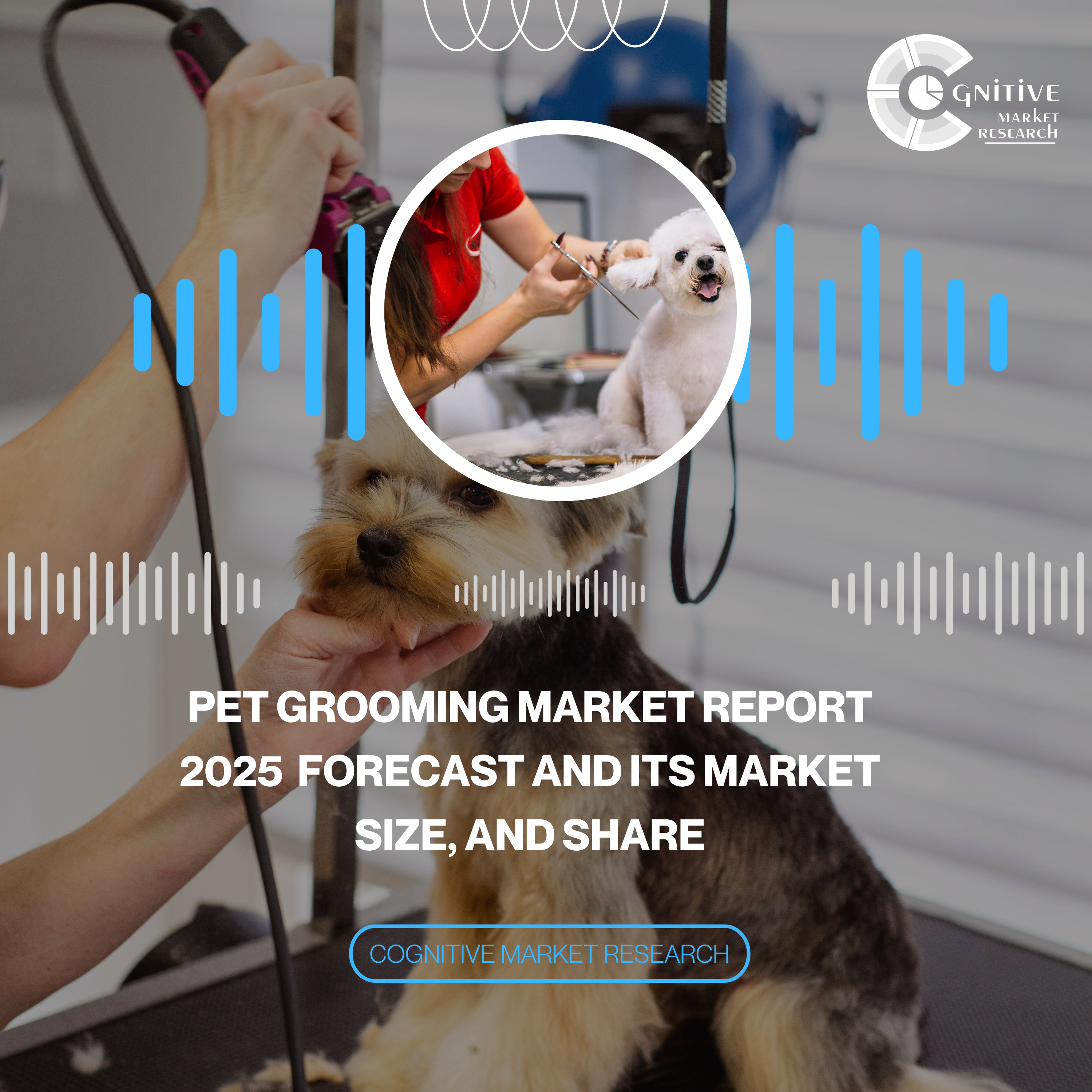 Pet Grooming Market Report 2025 Forecast and its Market Size, and Share episode artwork