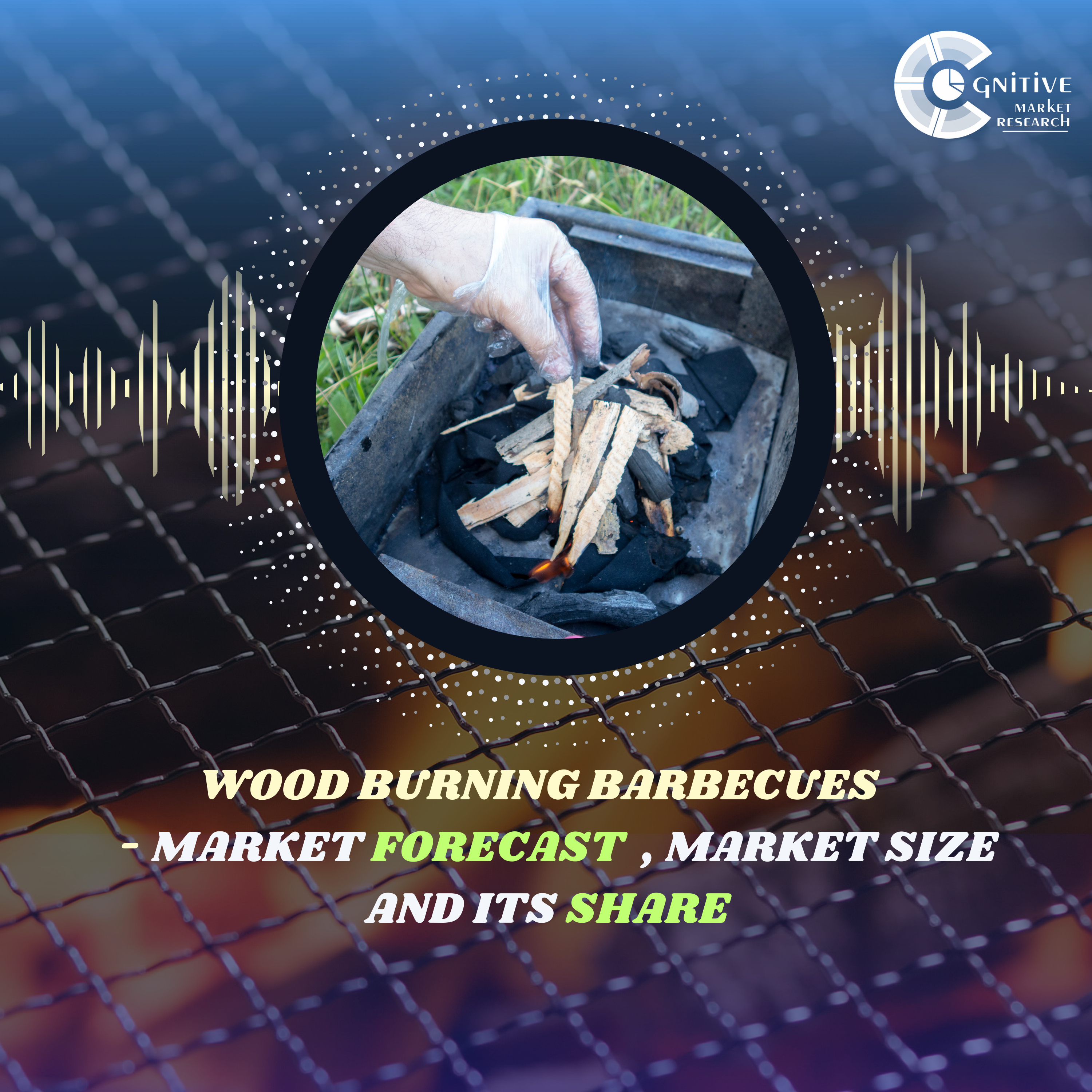 Wood burning Barbecues Market Forecast , Size and its Share episode artwork