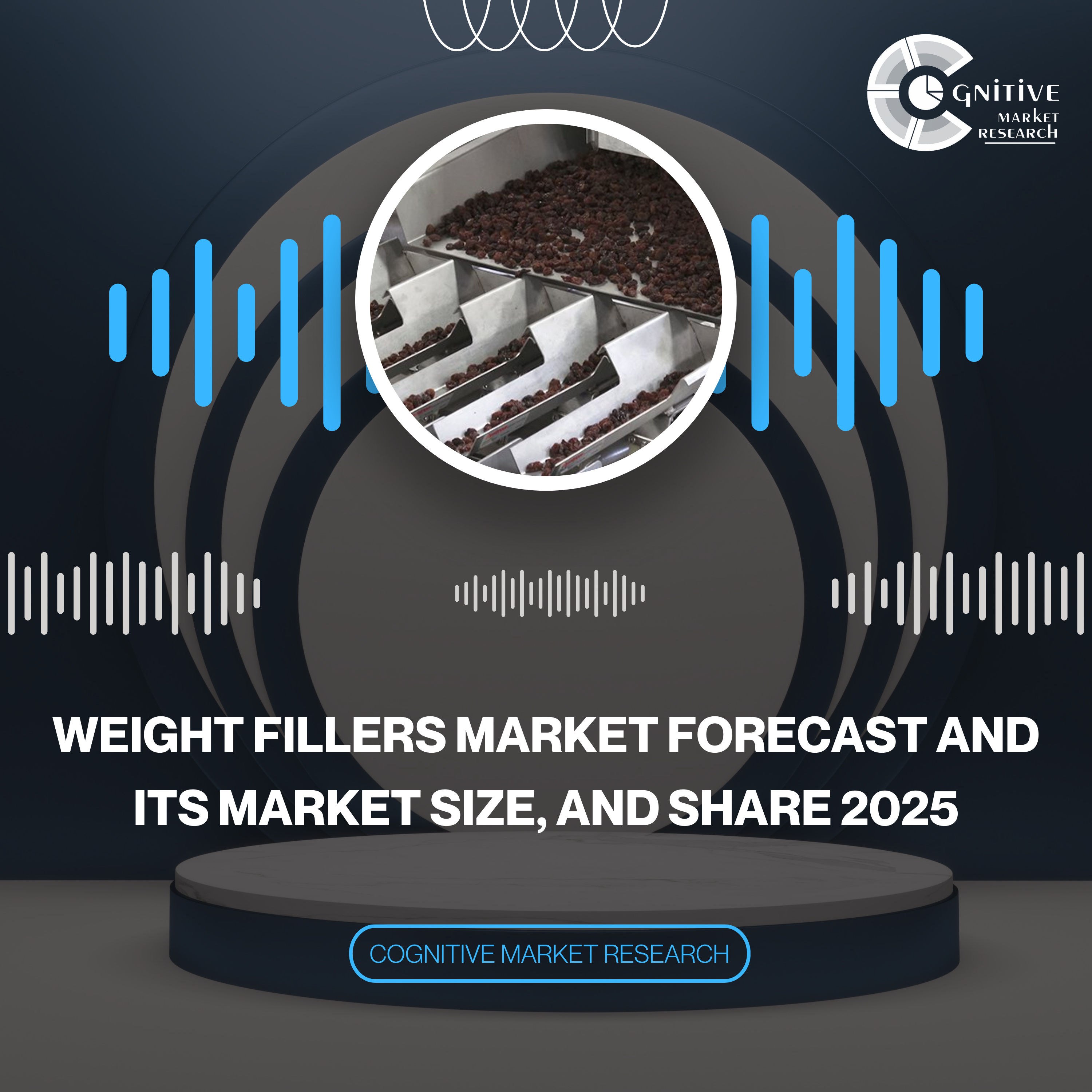 Weight Fillers Market Forecast and its Market Size, and Share 2025 episode artwork
