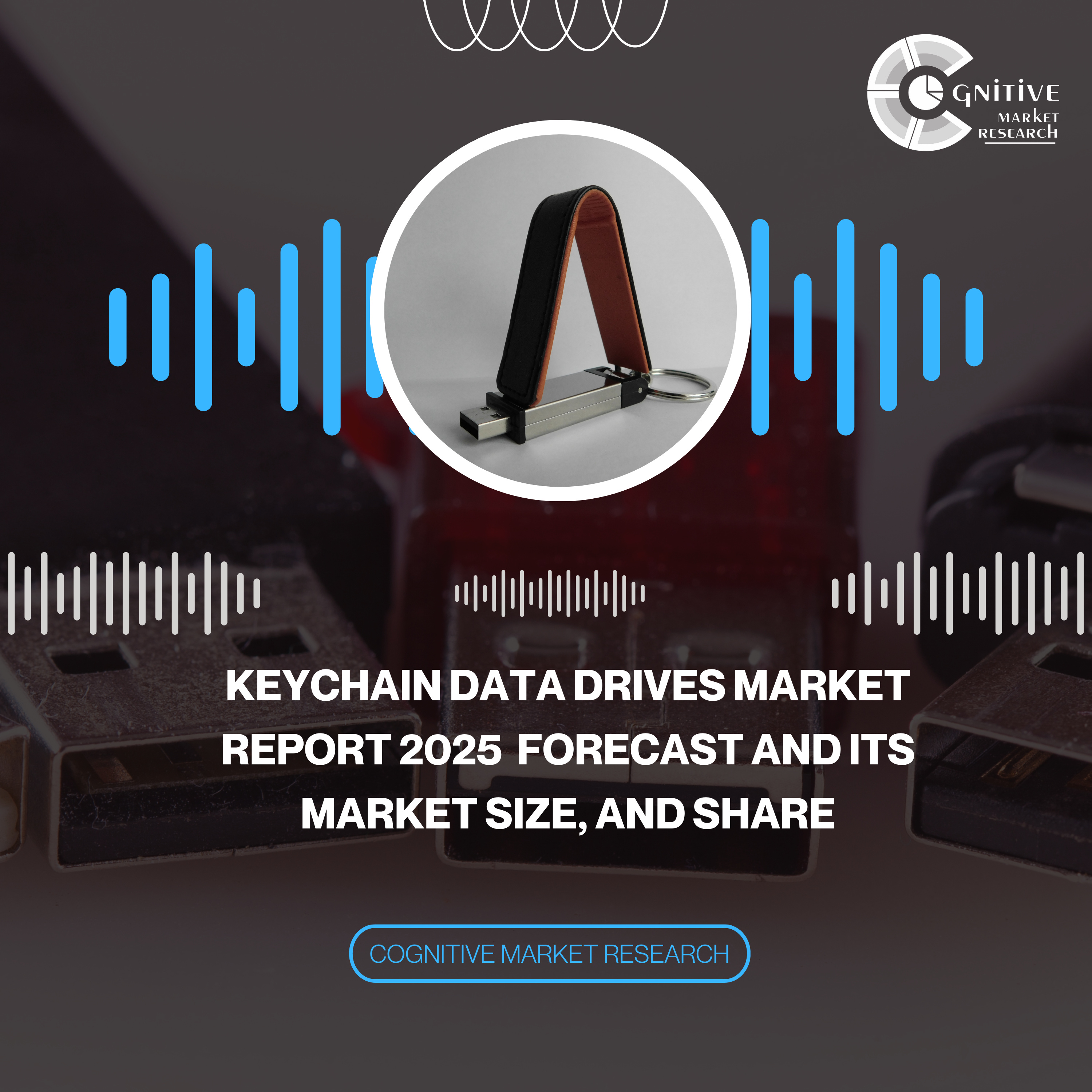 Keychain Data Drives Market Report 2025 Forecast and its Market Size, and Share episode artwork