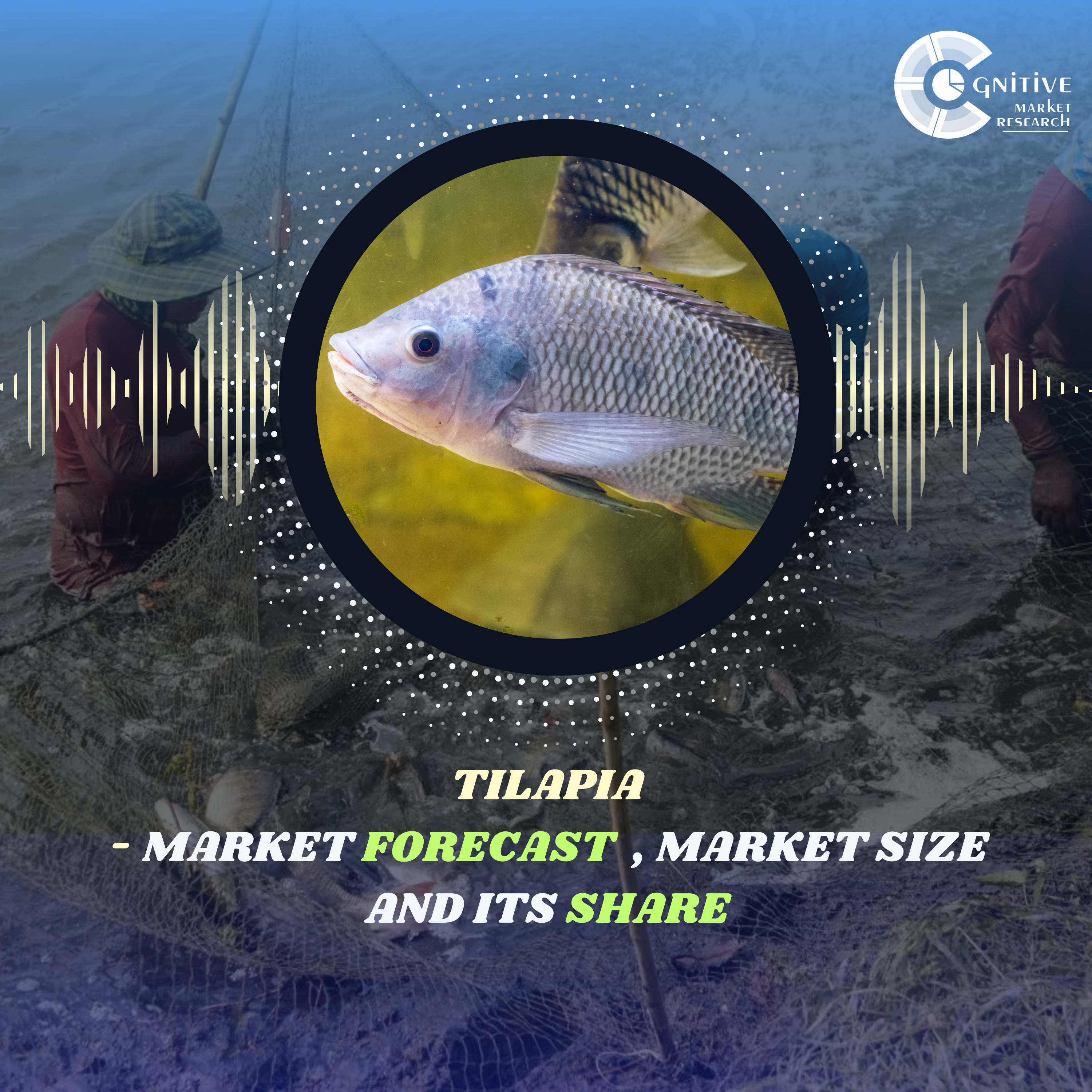 Tilapia Market Forecast , Size and its Share episode artwork
