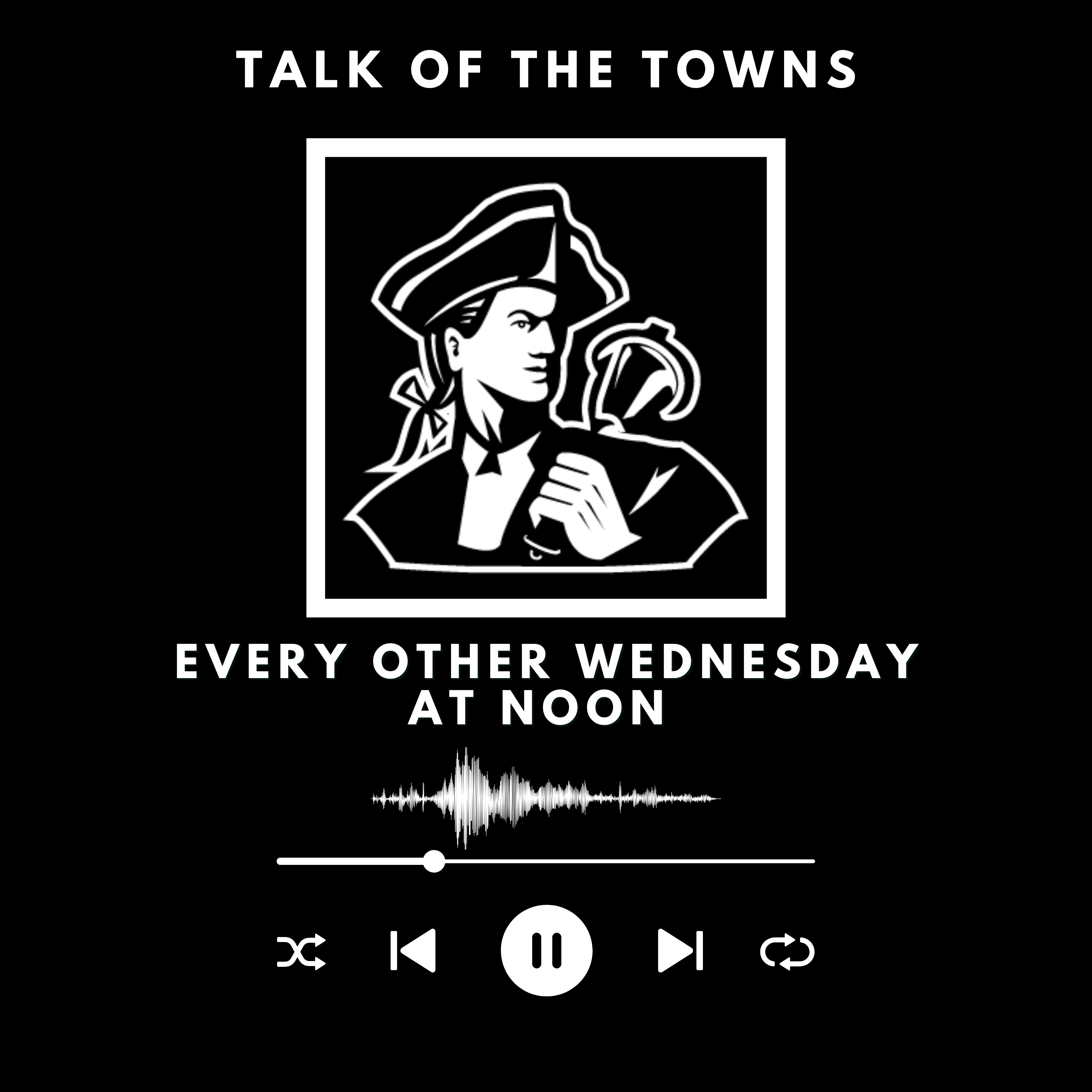 Cybersecurity for Town Governments: How to Stay Protected | Talk of the Towns Season #2, Episode #4 episode artwork